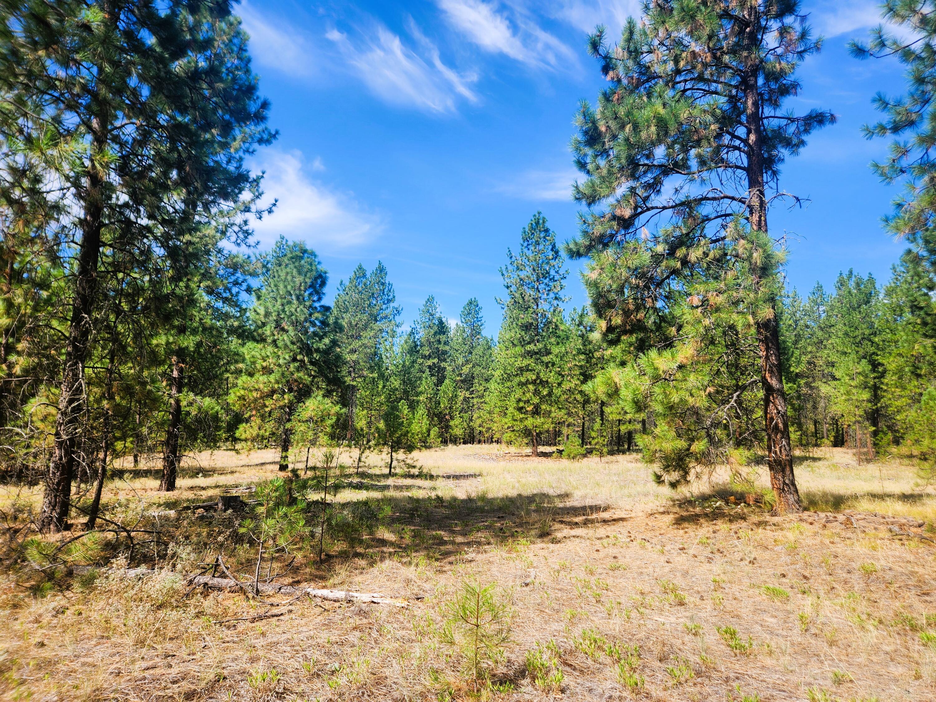 
                        Property photograph at
                        1866 K NORTHPORT FLAT CREEK RD
                      