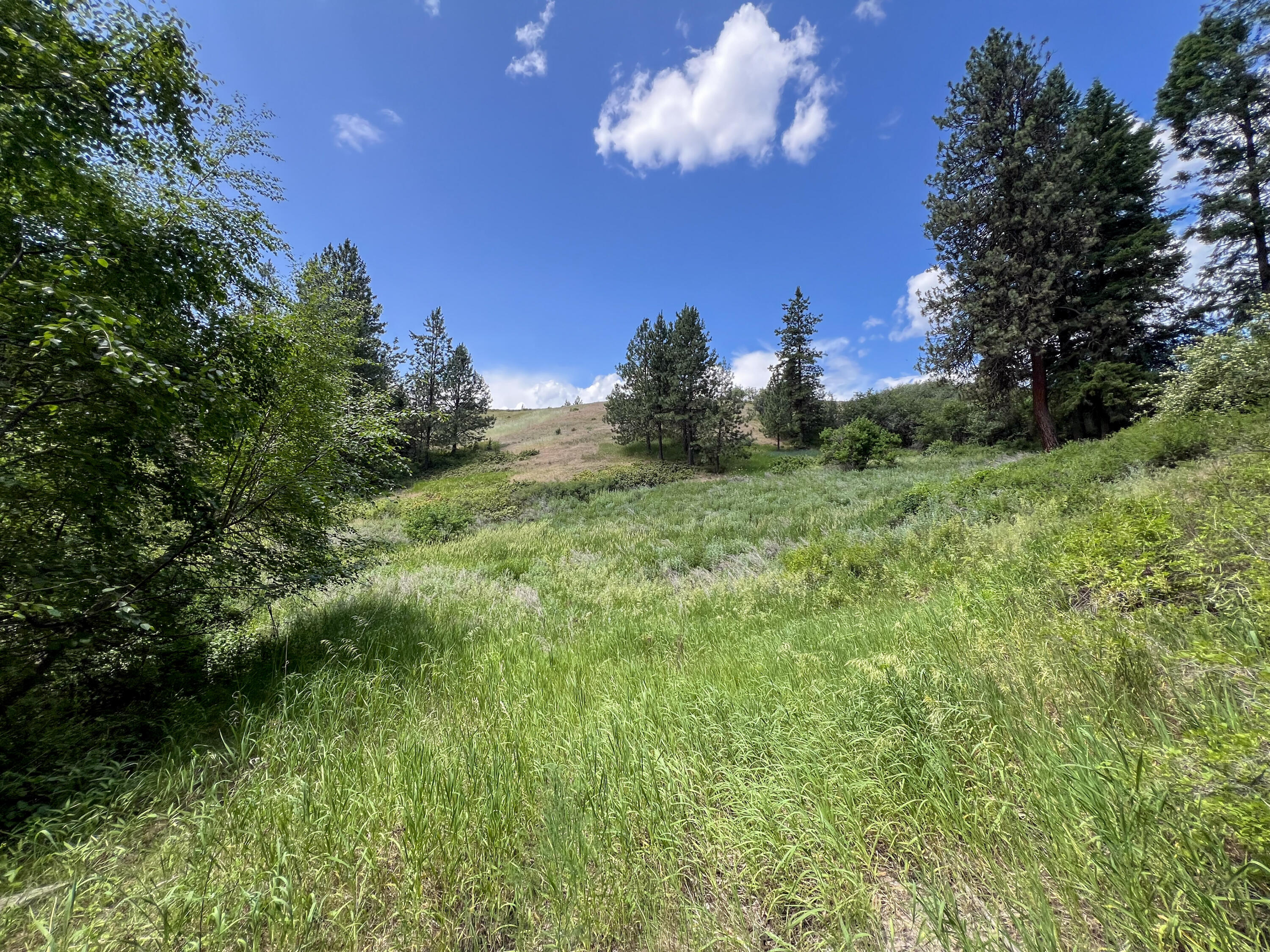 
                        Property photograph at
                        598 N HWY 395
                      