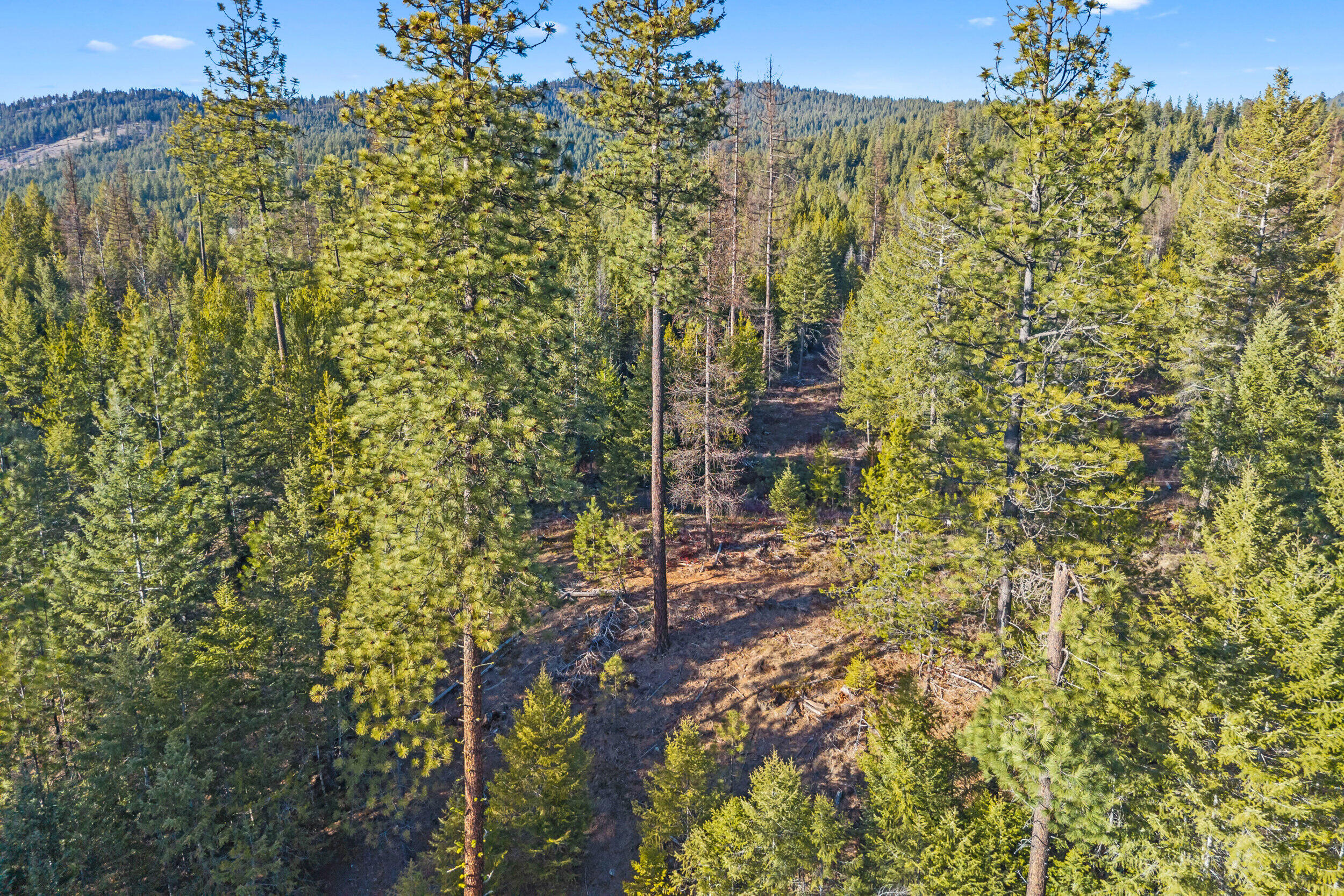 
                        Property photograph at
                        2845 BURNT VALLEY (18.5AC) RD
                      