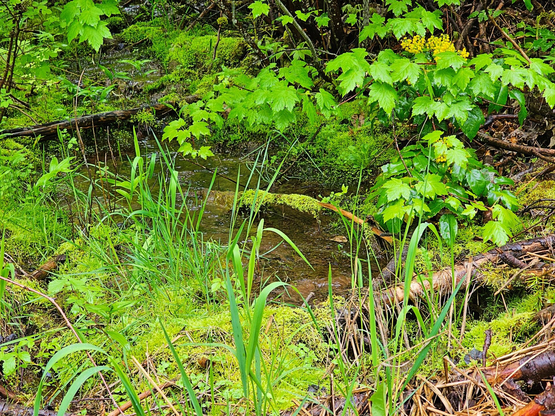 
                        Property photograph at
                        1895 TBD BLUE CREEK ROAD RD
                      