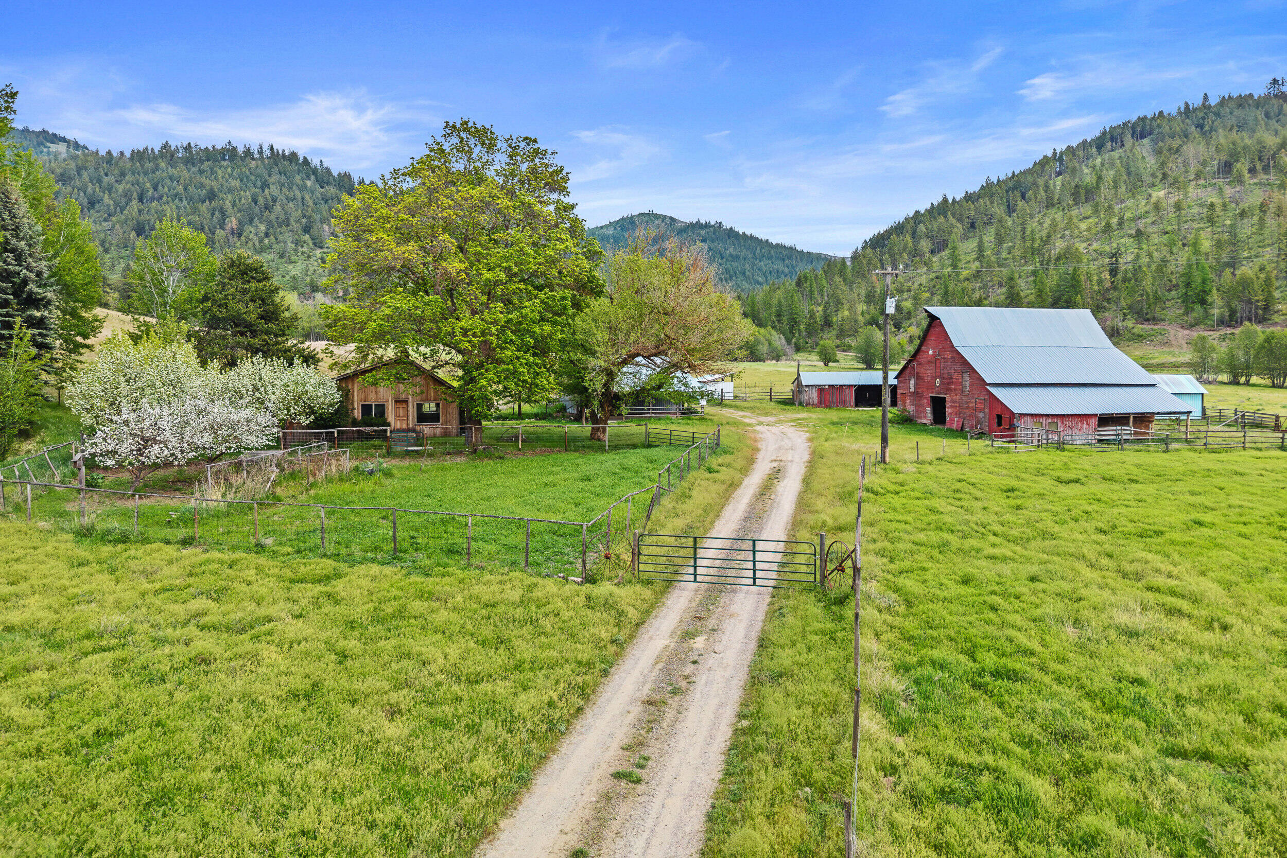 
            Exterior of
            3114 OLD BALDY RD
          