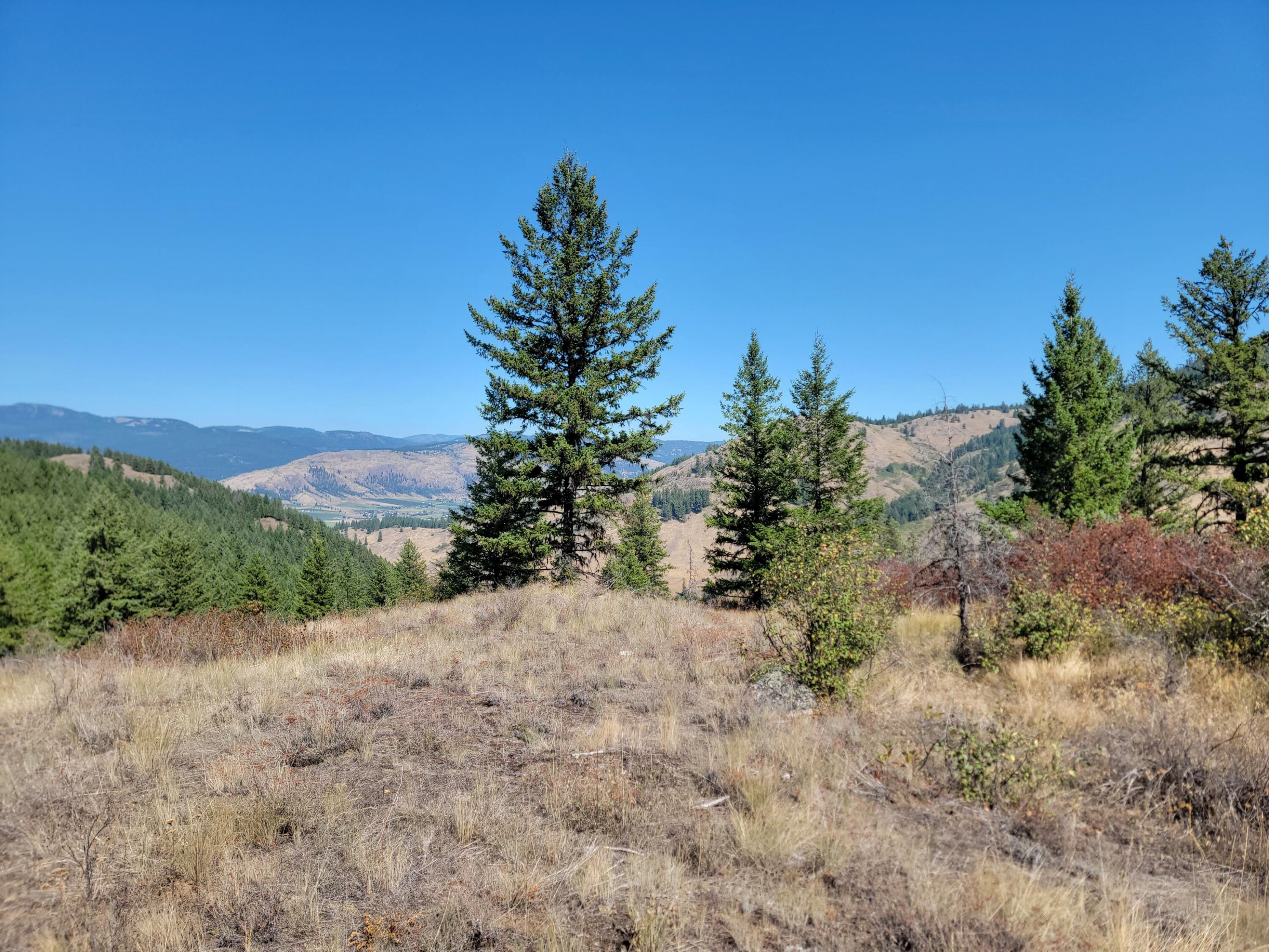 
                        Property photograph at
                        TBD LONE RANCH RD
                      