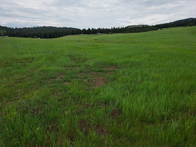 
            Exterior of
            37 OLD RANCH HOUSE ROAD  (LOT 1 )
          