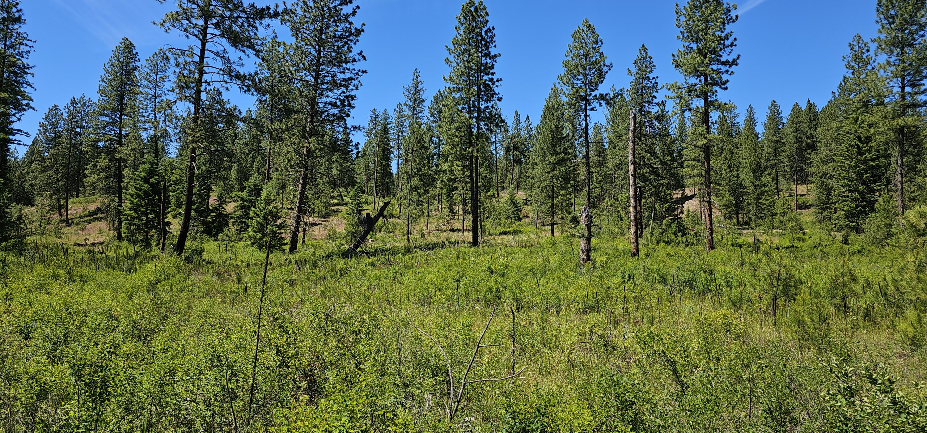 
                        Property photograph at
                        20X LYNX CREEK RD
                      