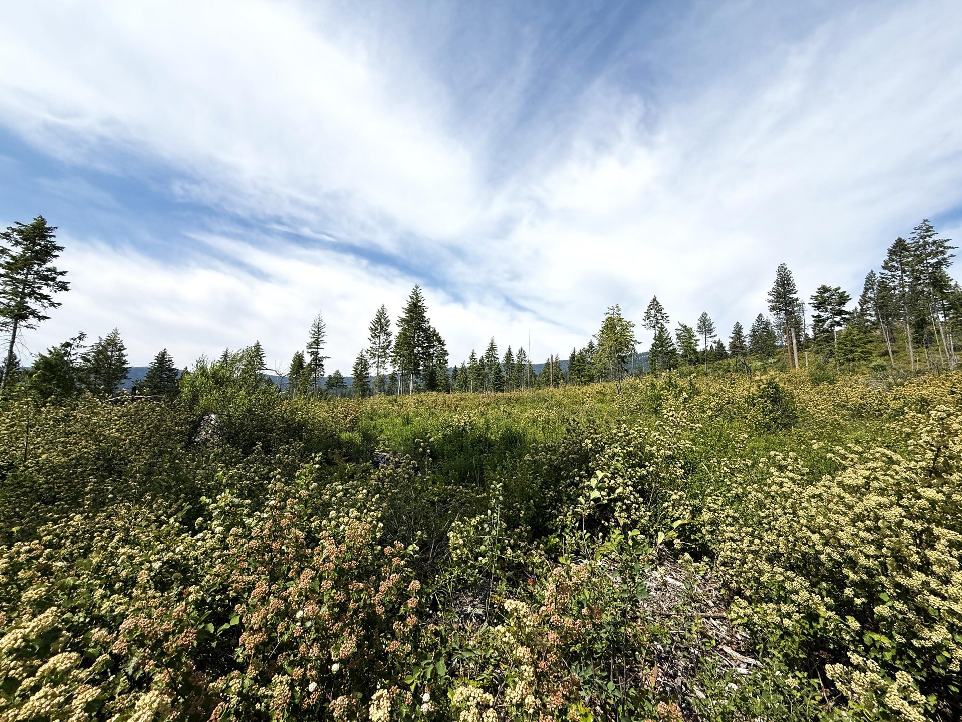 
                        Property photograph at
                        TBD ROCKABYE LN
                      