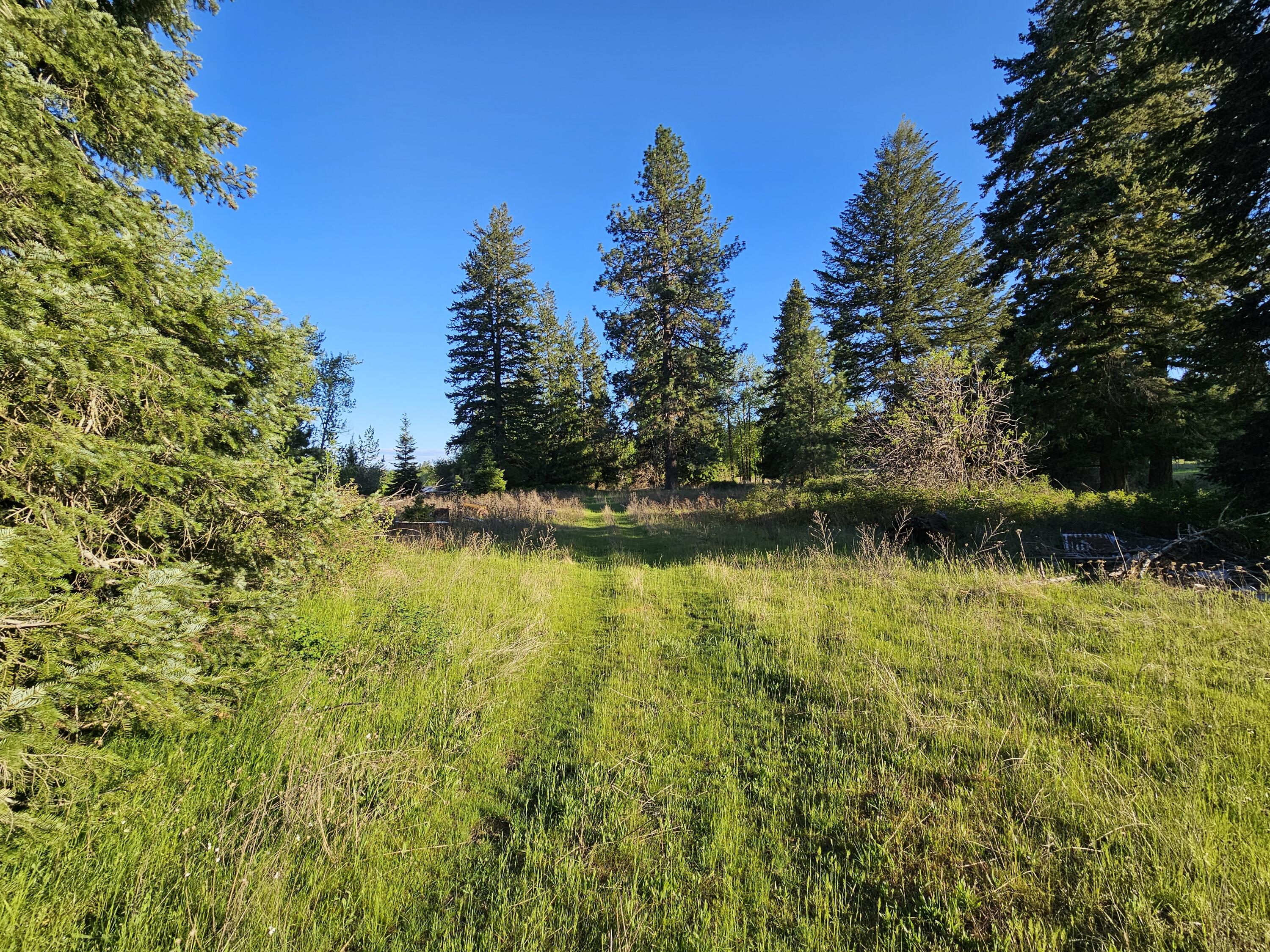 
                        Property photograph at
                        2XXX BLK E ELOIKA LAKE RD
                      
