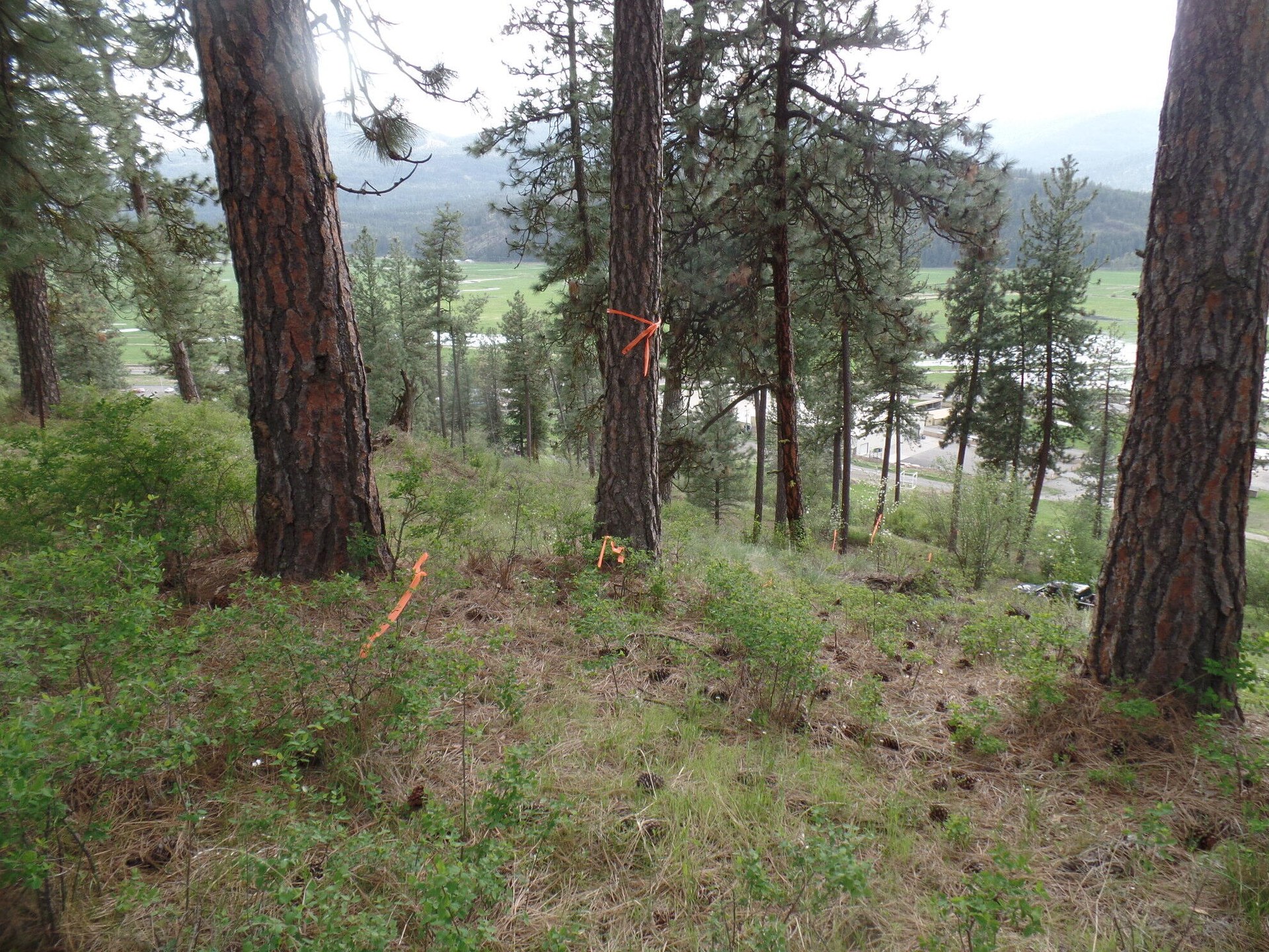 
                        Property photograph at
                        2XX HWY 395 N #A
                      