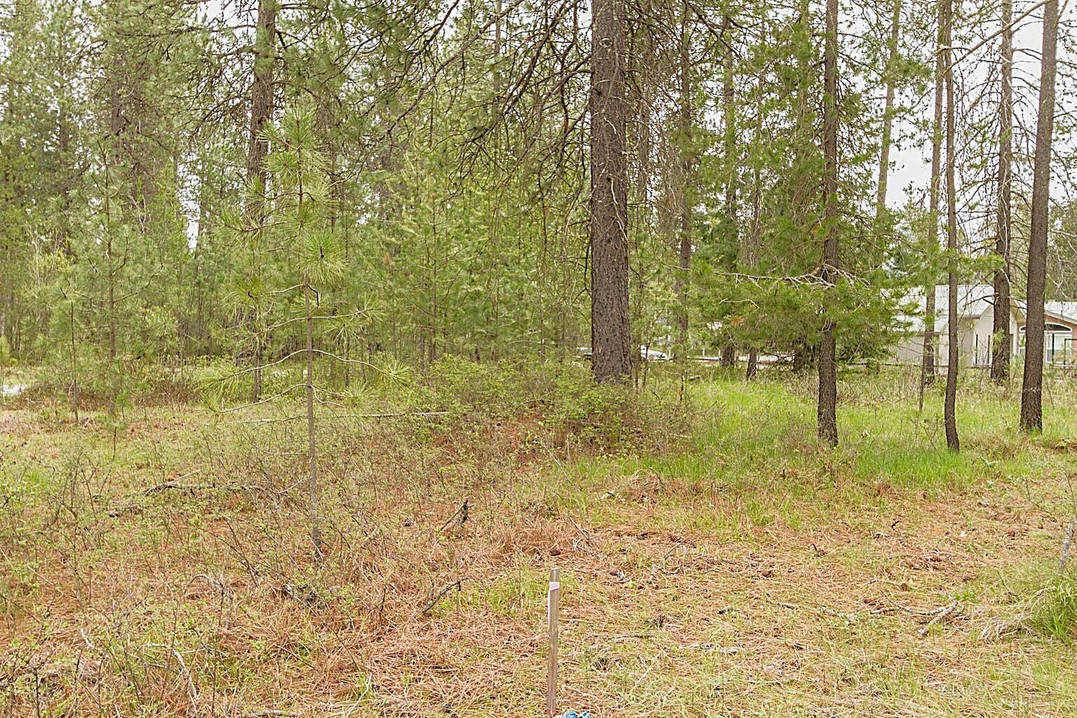 
                        Property photograph at
                        202 EAGLE DR
                      