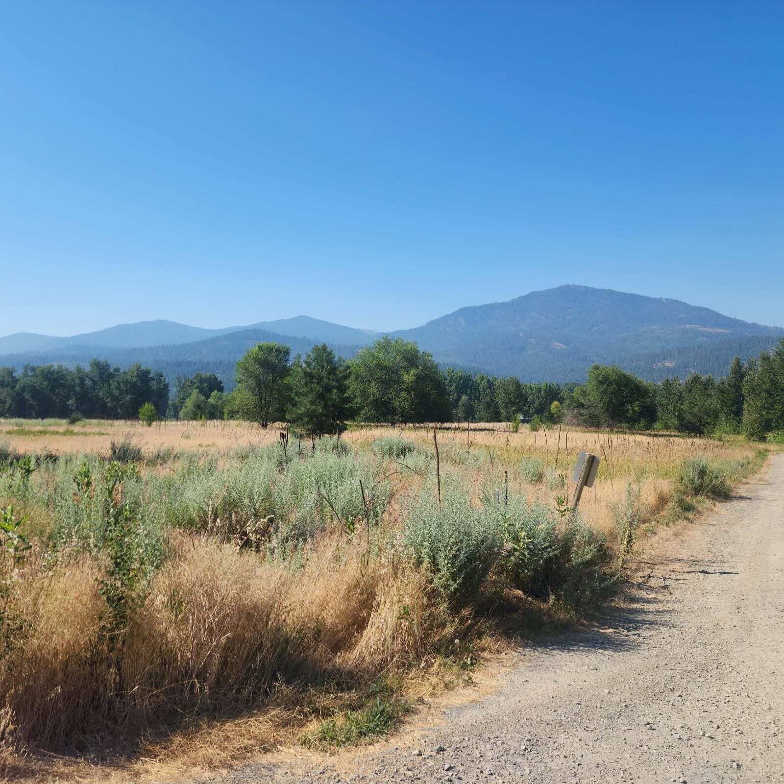 
                        Property photograph at
                        XXX HWY 395
                      
