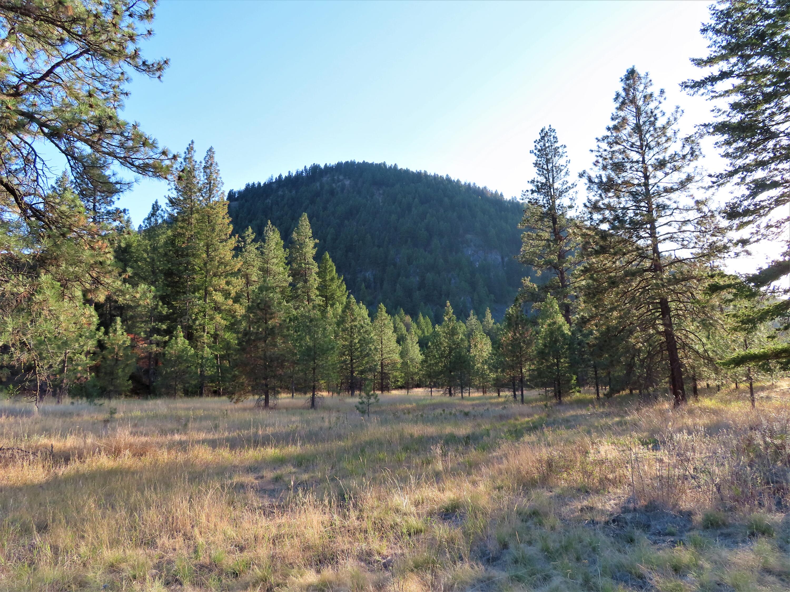 
                        Property photograph at
                        TBD TORODA CREEK RD
                      