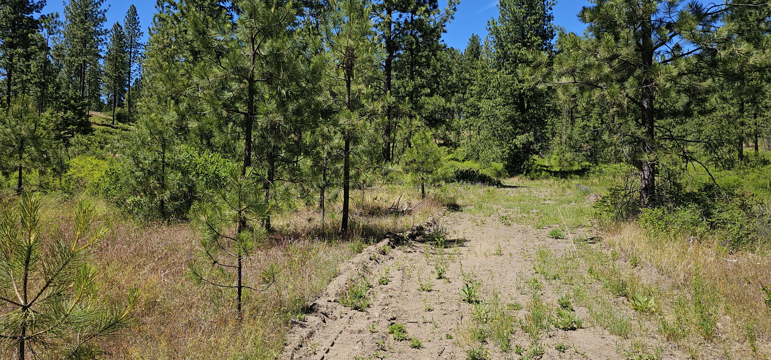 
                        Property photograph at
                        20X LYNX CREEK RD
                      