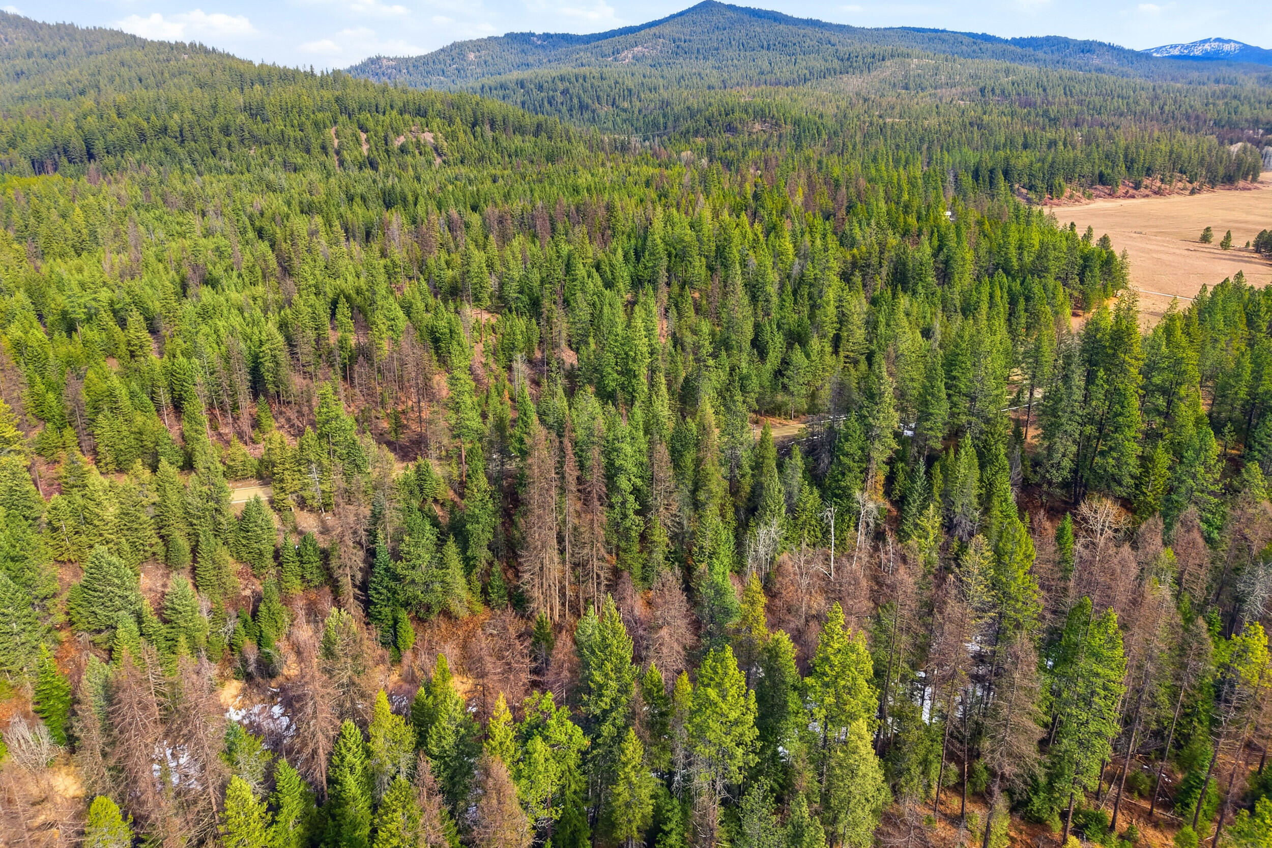 
                        Property photograph at
                        28XX BURNT VALLEY (20AC) RD
                      