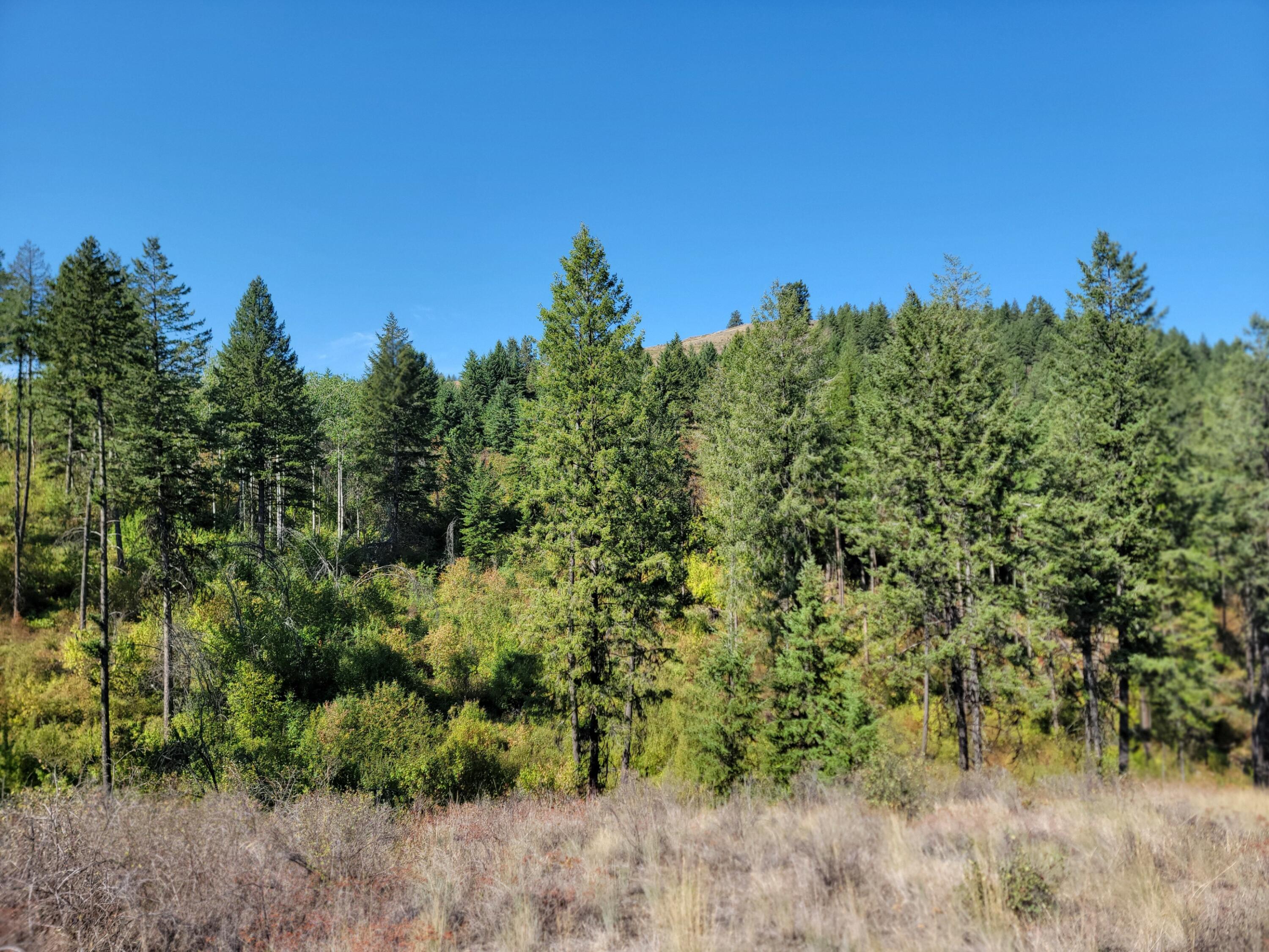 
                        Property photograph at
                        TBD LONE RANCH RD
                      