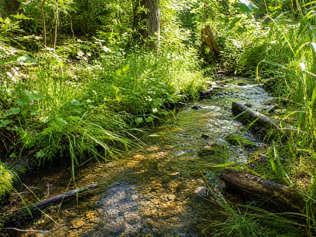 
                        Property photograph at
                        3121 FIFTEEN MILE CREEK RD
                      