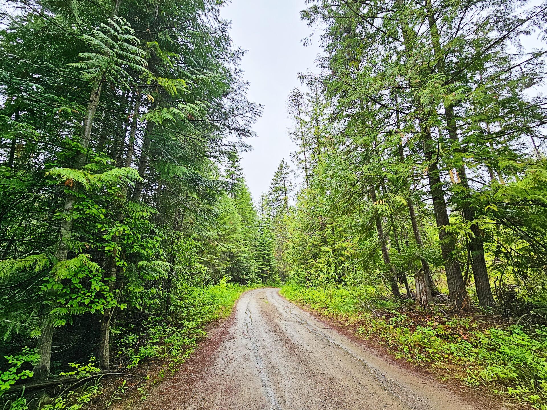
                        Property photograph at
                        1895 TBD BLUE CREEK ROAD RD
                      