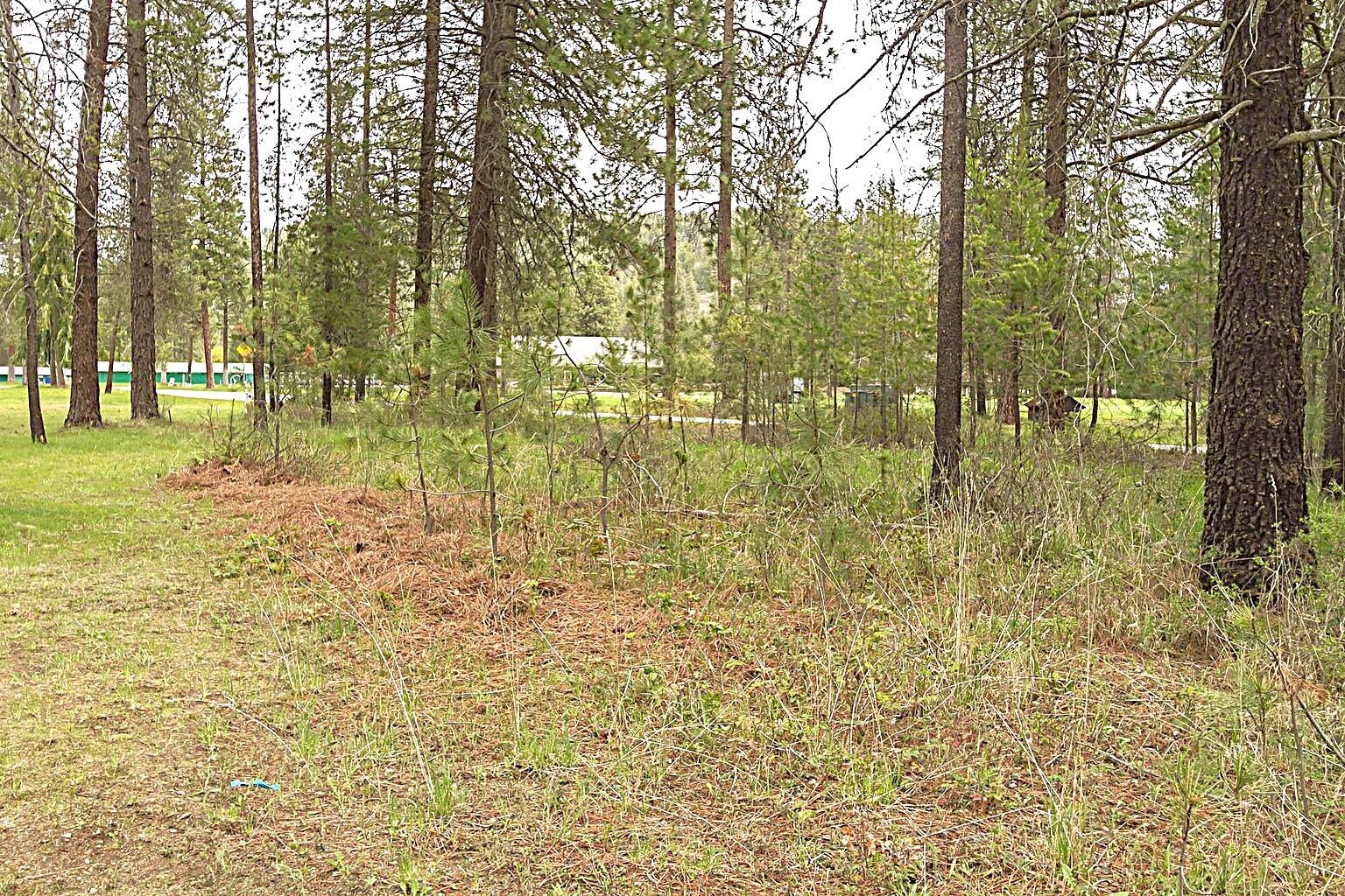 
                        Property photograph at
                        202 EAGLE DR
                      