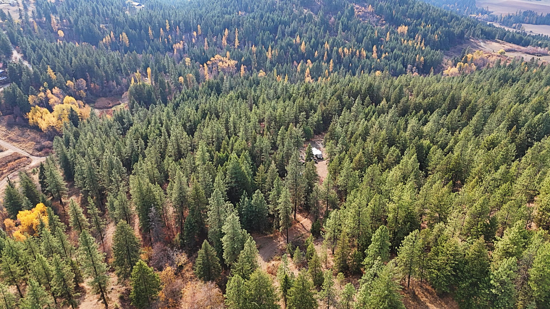 
                        Property photograph at
                        1631Q BONANZA HILL RD N
                      