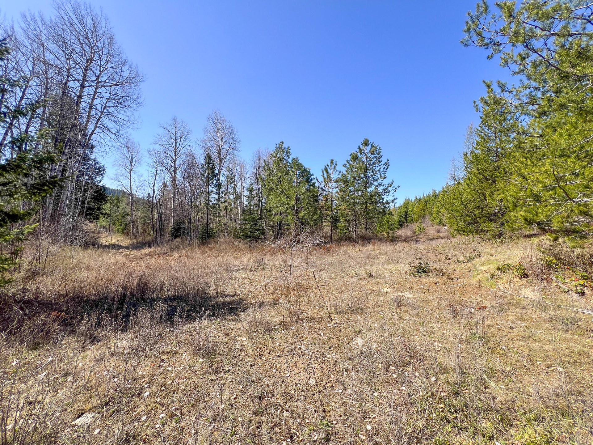 
                        Property photograph at
                        26XX FLOWERY TRAIL RD
                      