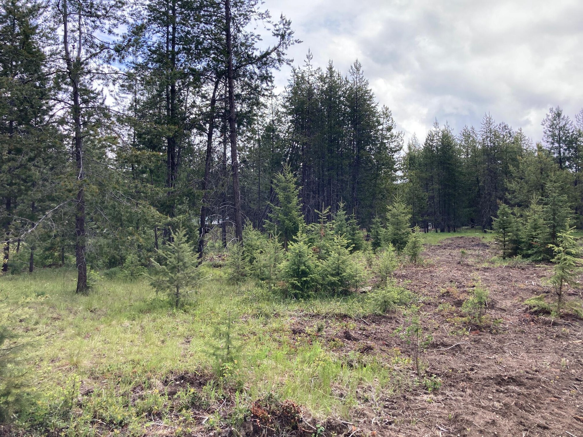
                        Property photograph at
                        1496 E HWY 20 XX
                      