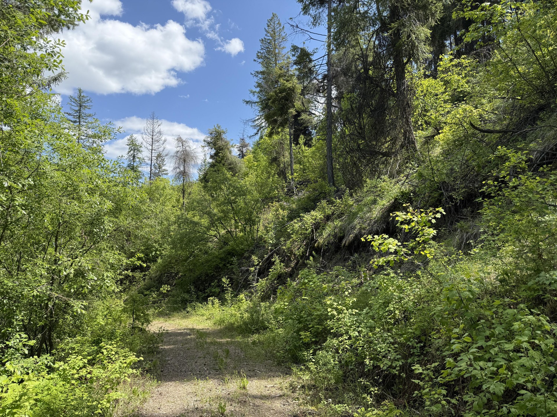
                        Property photograph at
                        3774-C DAISY MINE RD
                      