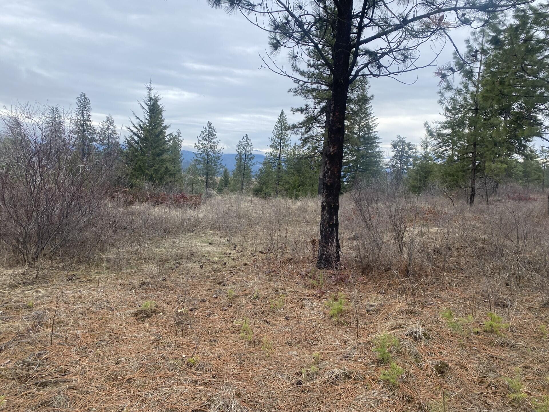 
                        Property photograph at
                        TRACT 2 COWBOYS AND ANGELS AVE
                      