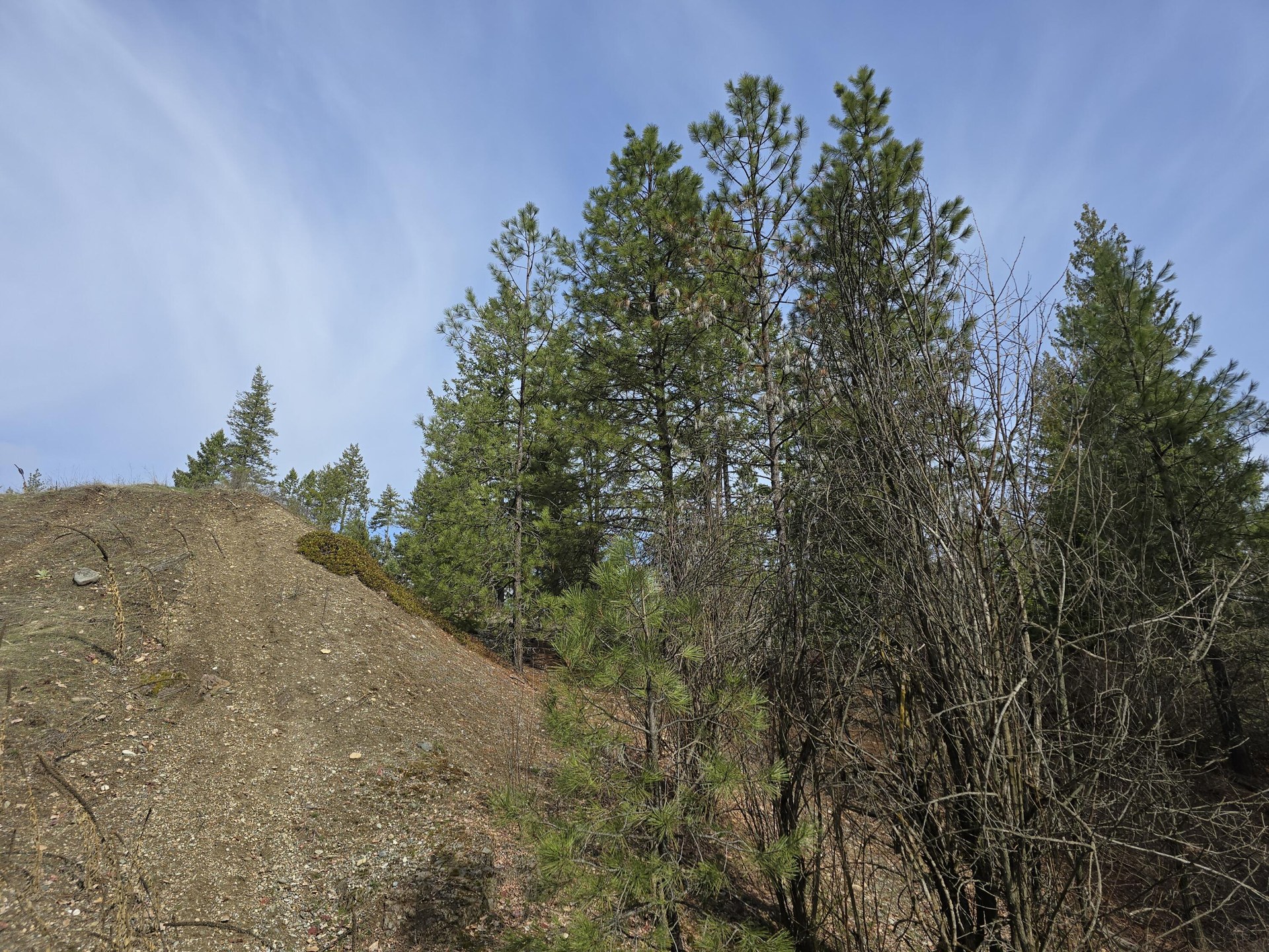 
                        Property photograph at
                        3XX GOLD CREEK RD
                      