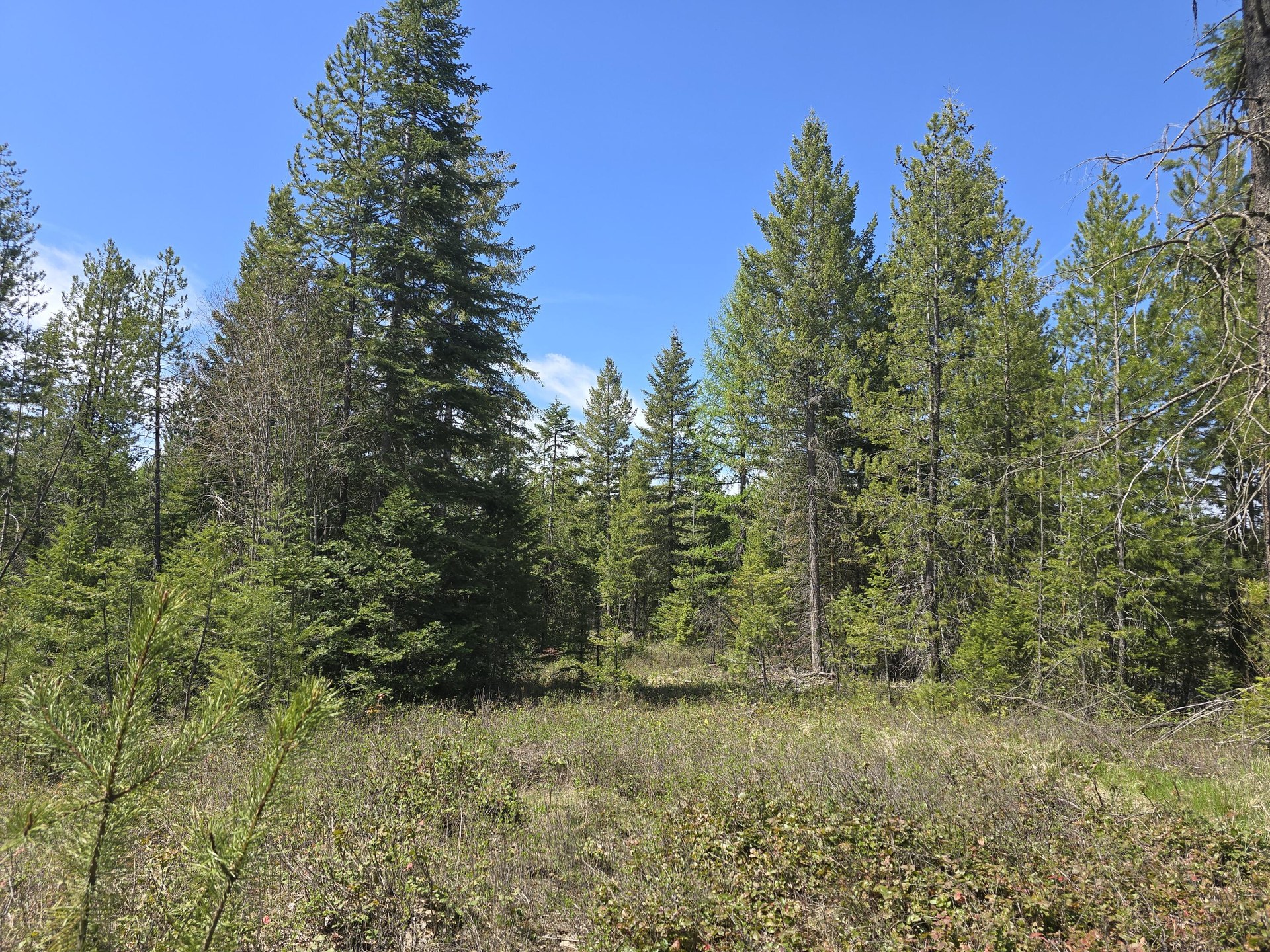 
                        Property photograph at
                        XXX W OREGON RD
                      