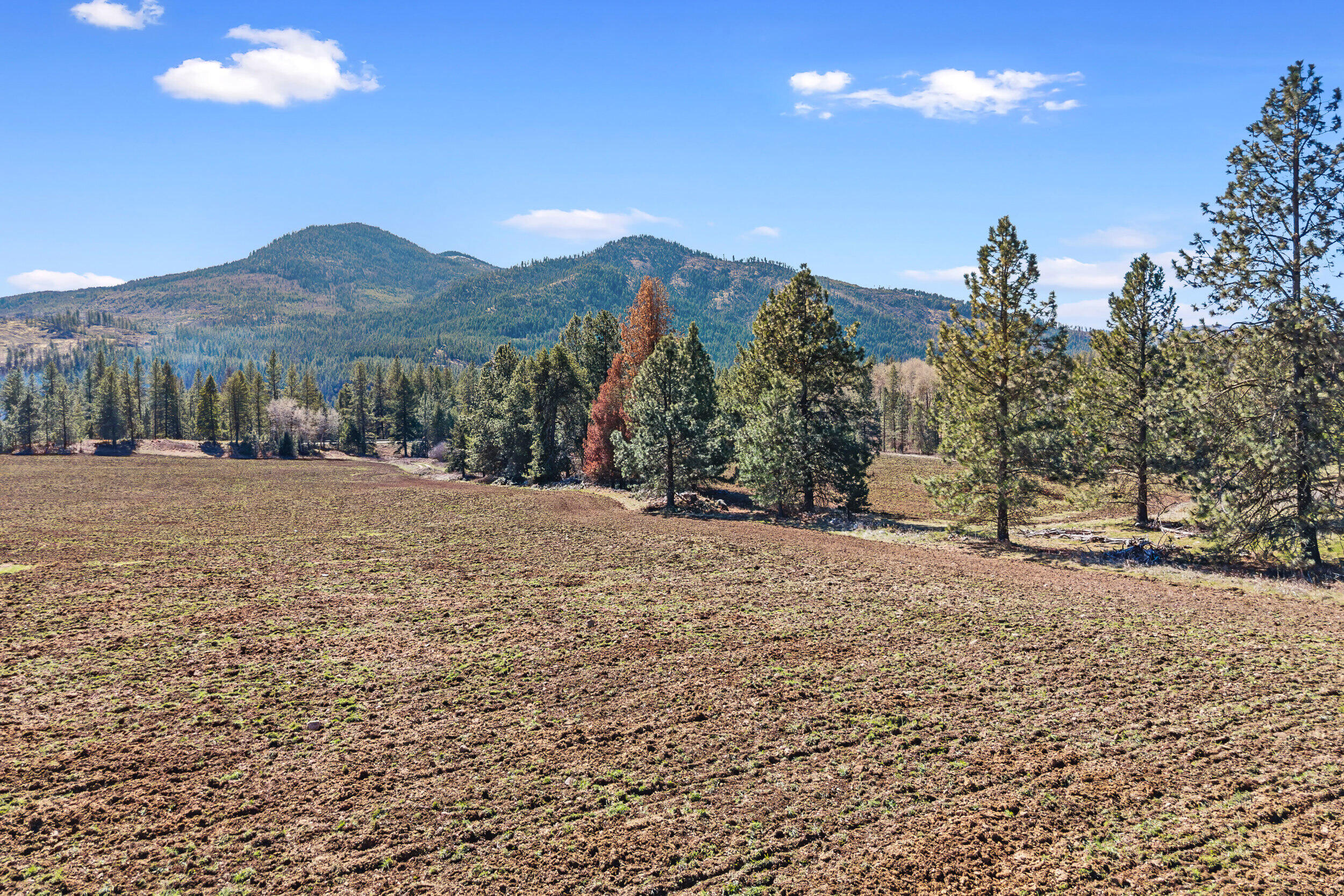 
                        Property photograph at
                        2068 ADDY-GIFFORD RD
                      