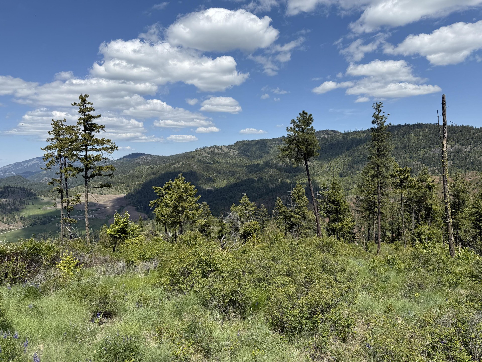 
                        Property photograph at
                        3774-C DAISY MINE RD
                      