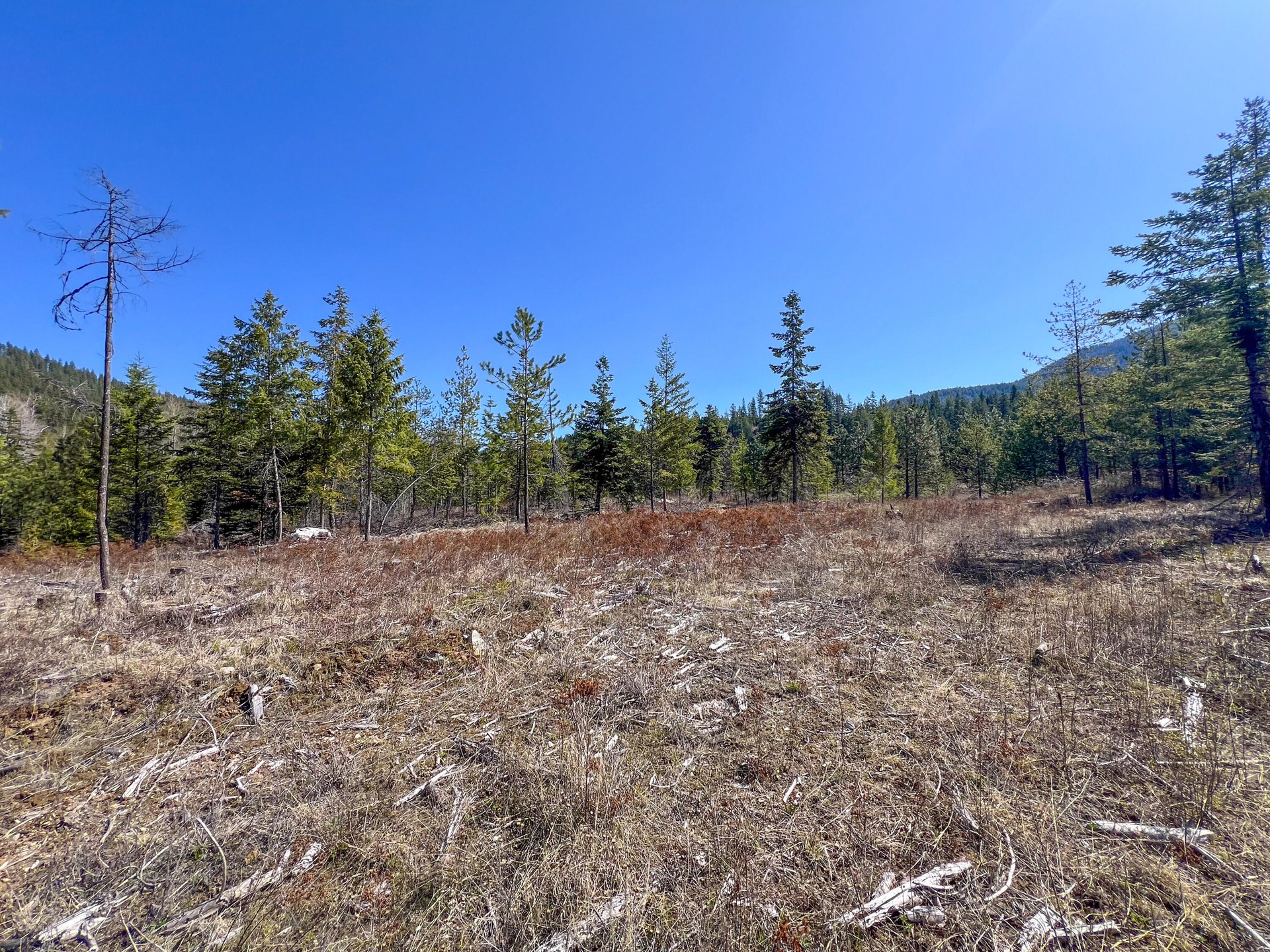 
                        Property photograph at
                        26XX FLOWERY TRAIL RD
                      