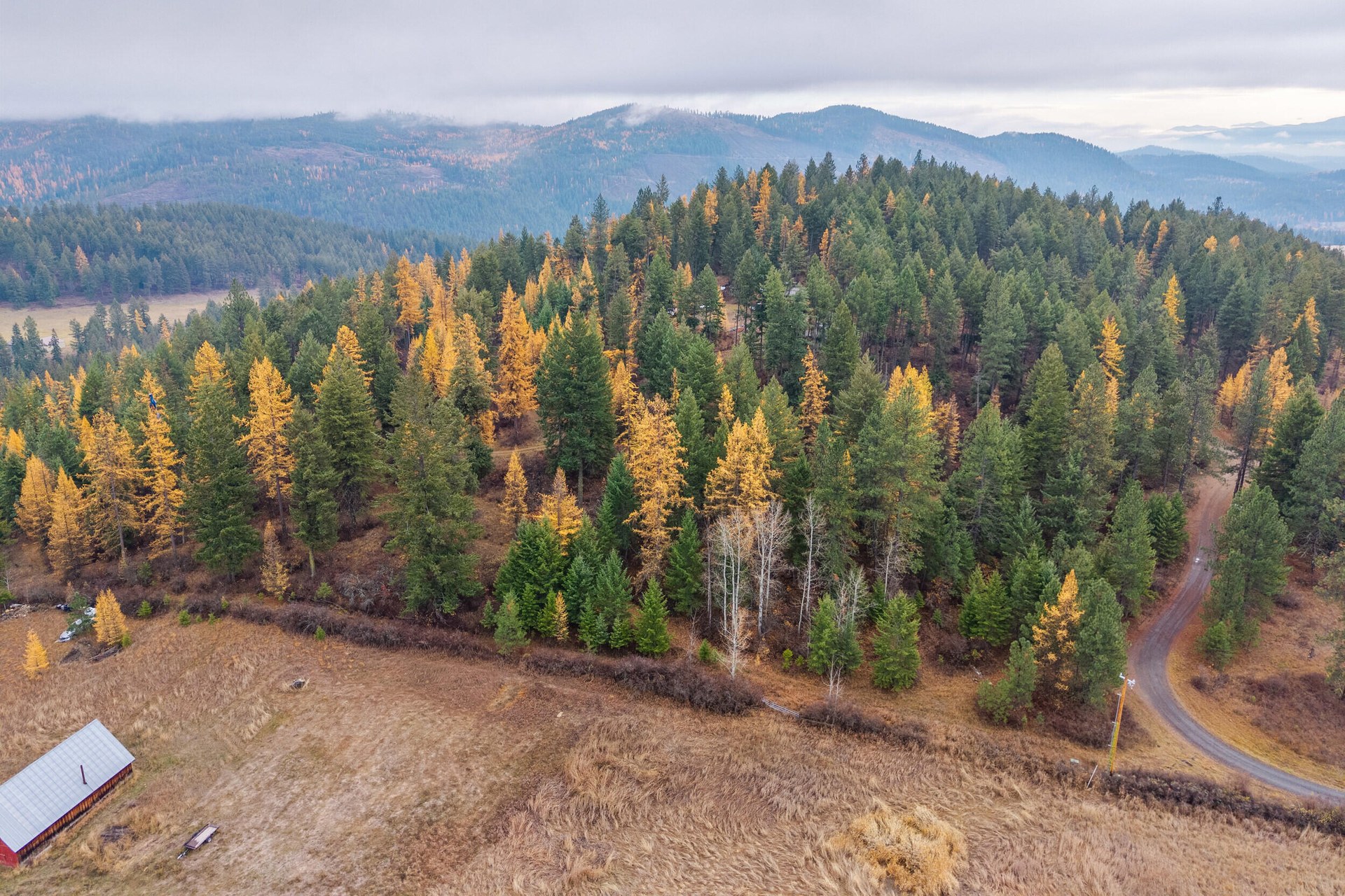 
                        Property photograph at
                        700 DRY GULCH RD
                      