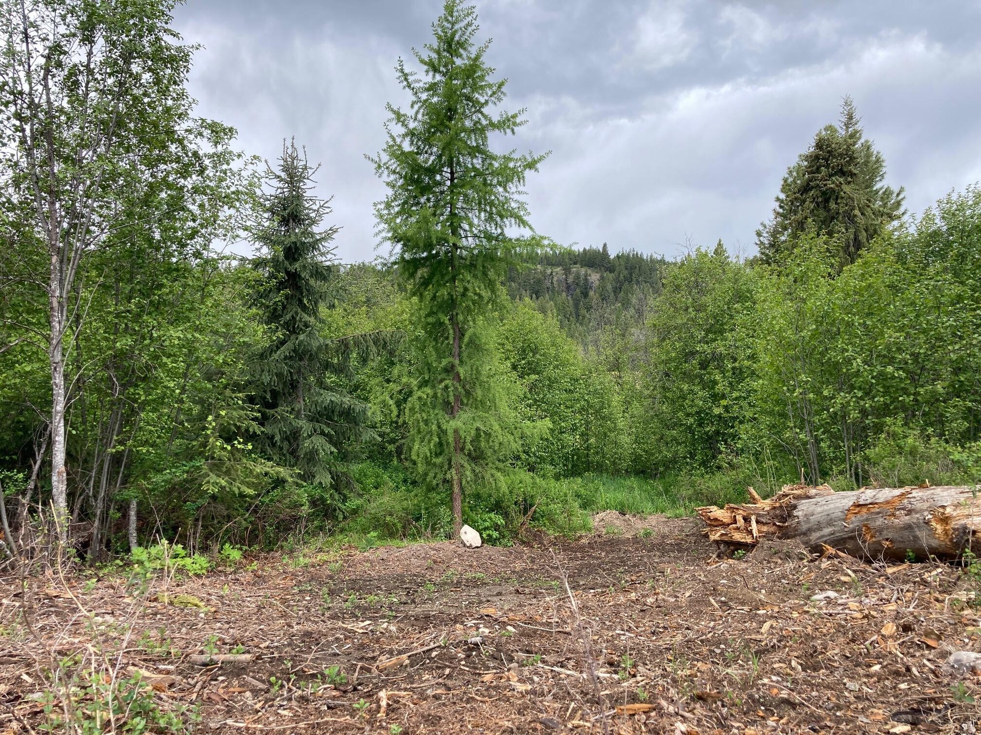 
                        Property photograph at
                        1496 E HWY 20 XX
                      