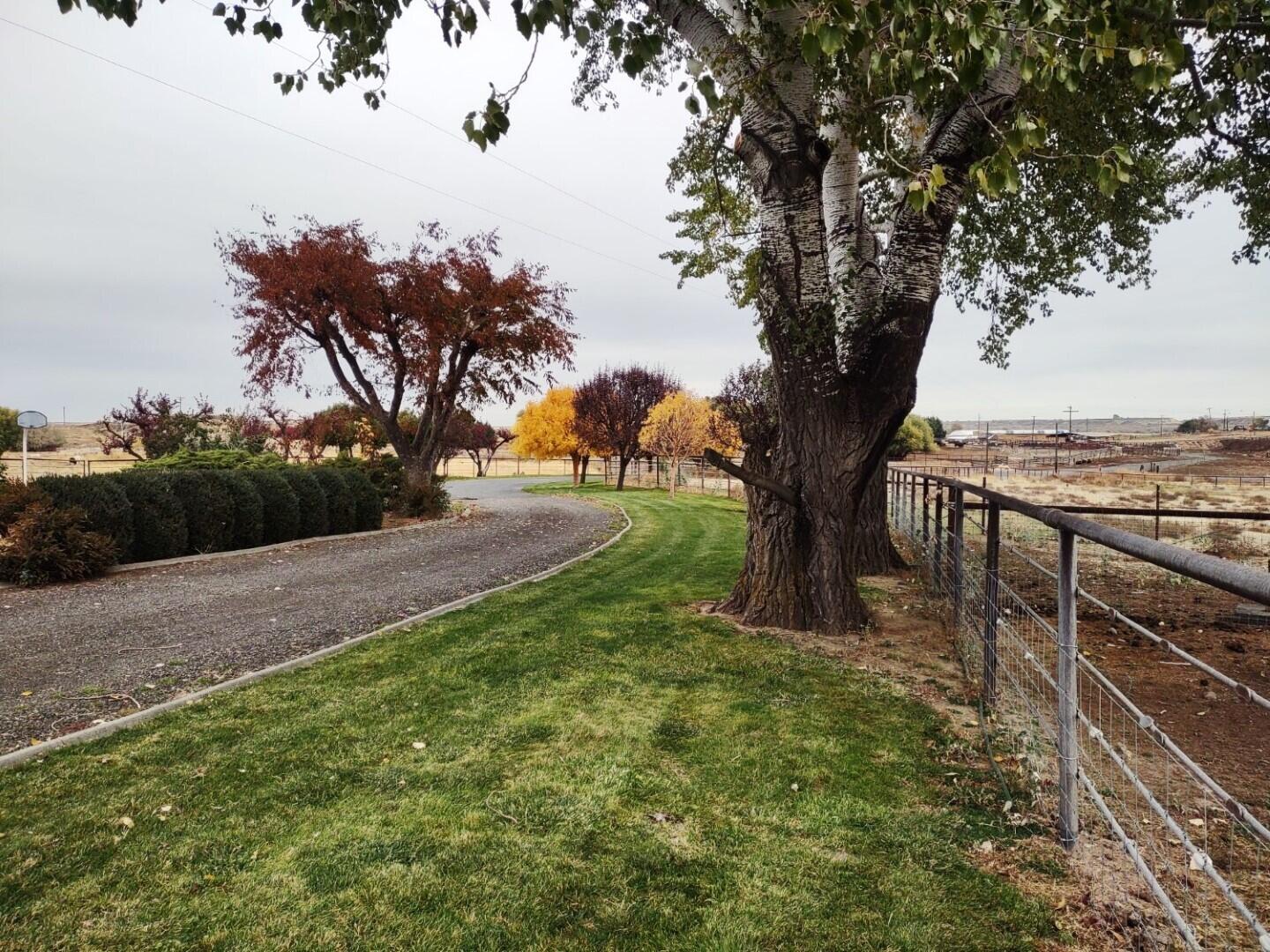 
                        Property photograph at
                        2175 W MCMANAMON RD
                      