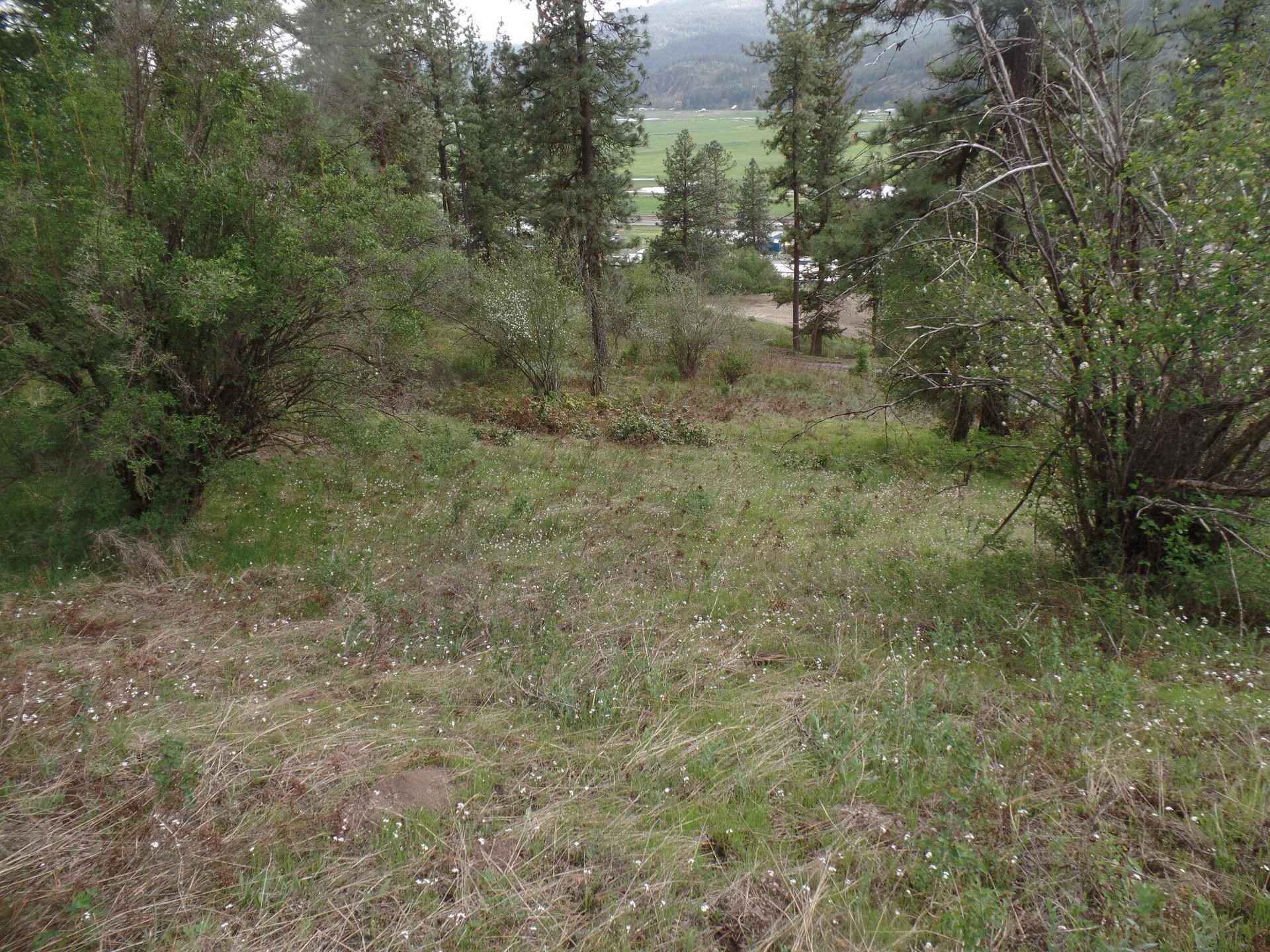 
                        Property photograph at
                        2XX HWY 395 N #B
                      