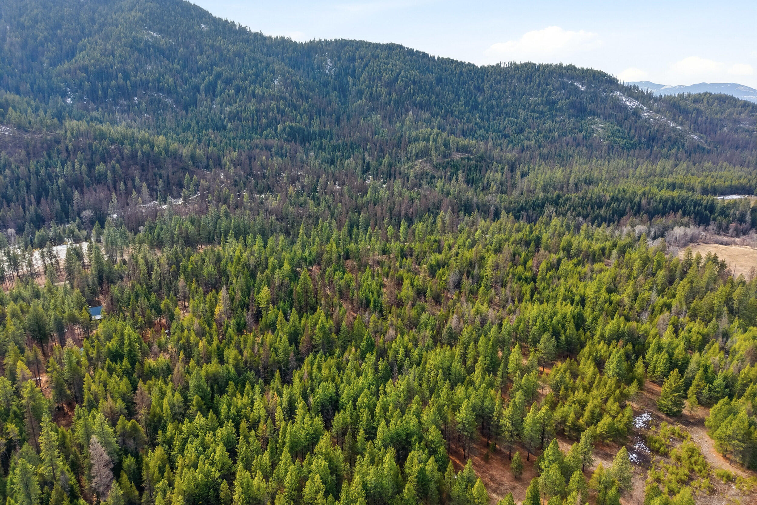
                        Property photograph at
                        28XX BURNT VALLEY (20AC) RD
                      