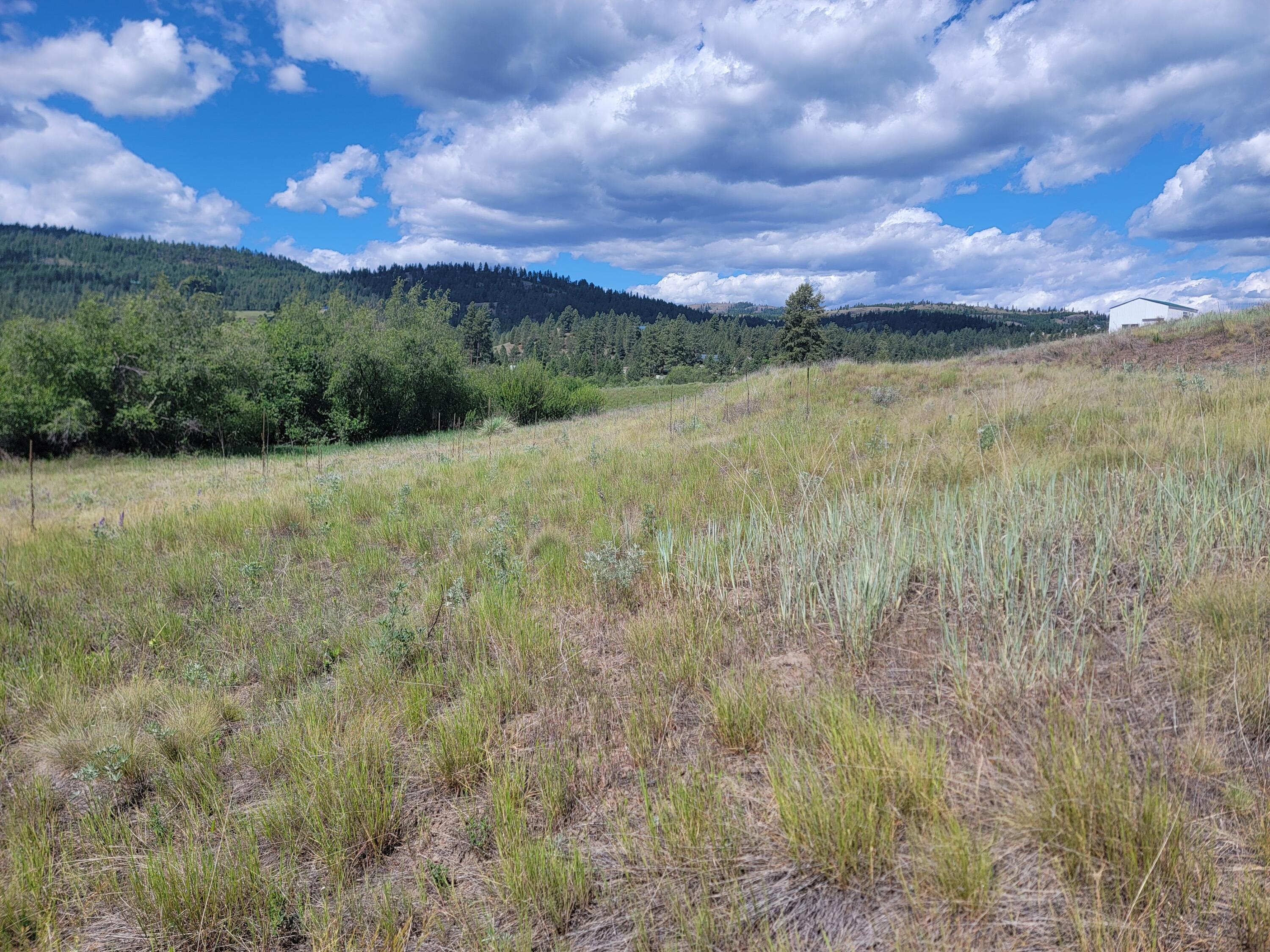 
                        Property photograph at
                        TBD CURLEW DR
                      