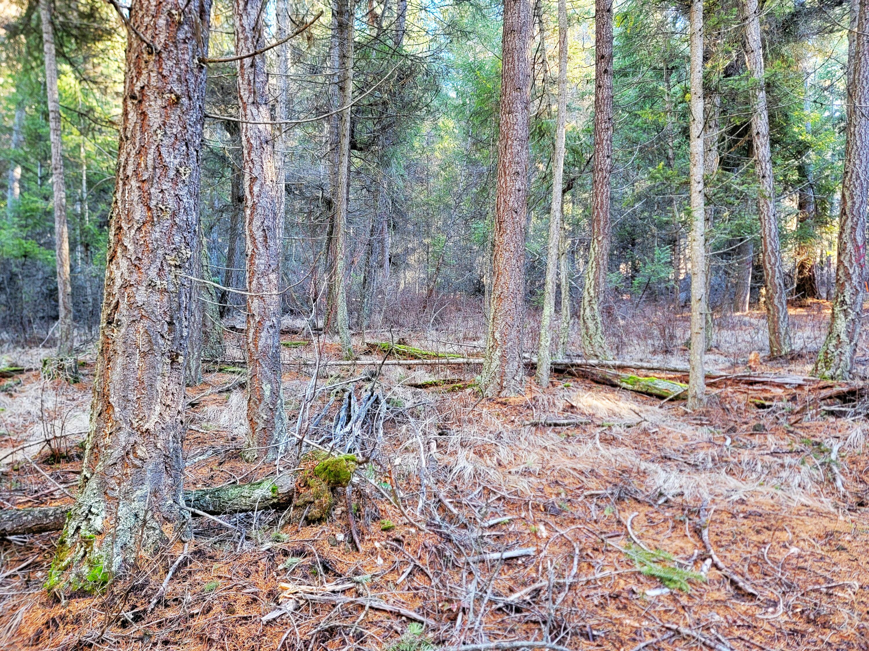 
                        Property photograph at
                        TBD LUNDIMO MEADOW RD
                      