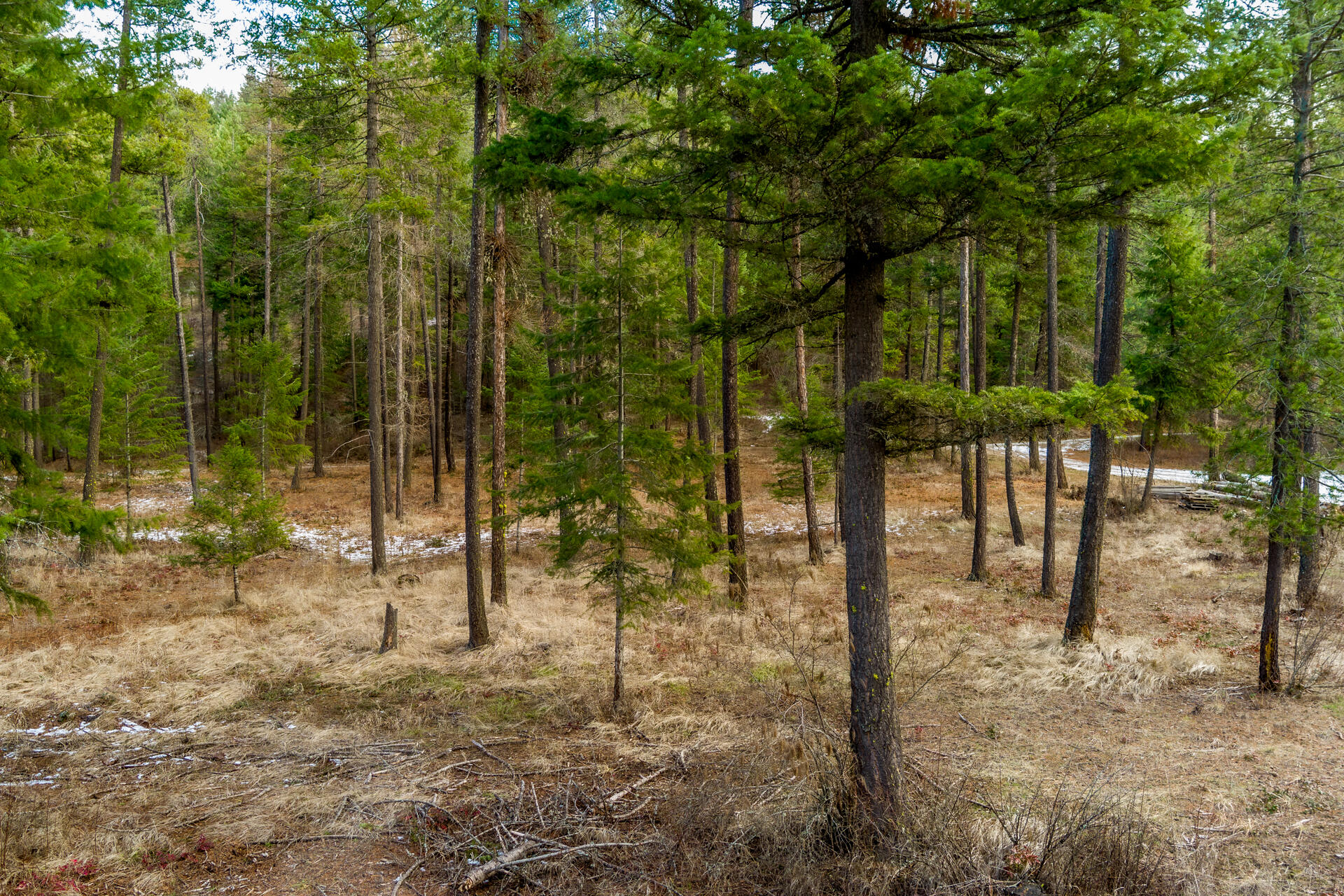 
                        Property photograph at
                        2559 UNITED COPPER MINE RD
                      
