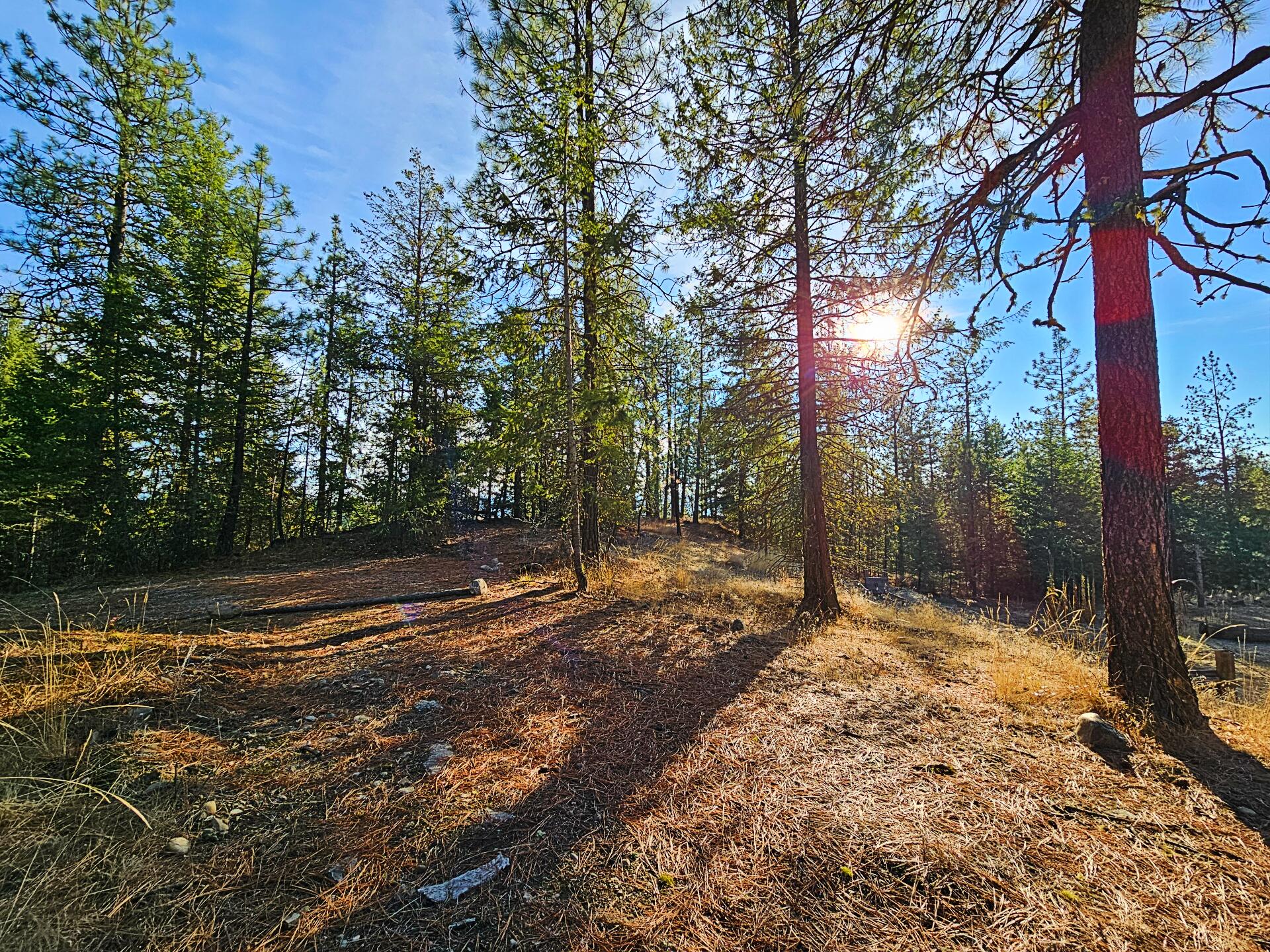 
                        Property photograph at
                        1631Q BONANZA HILL RD N
                      