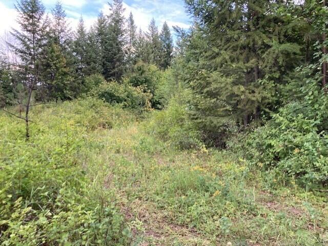 
                        Property photograph at
                        2462X WA-25 HWY
                      