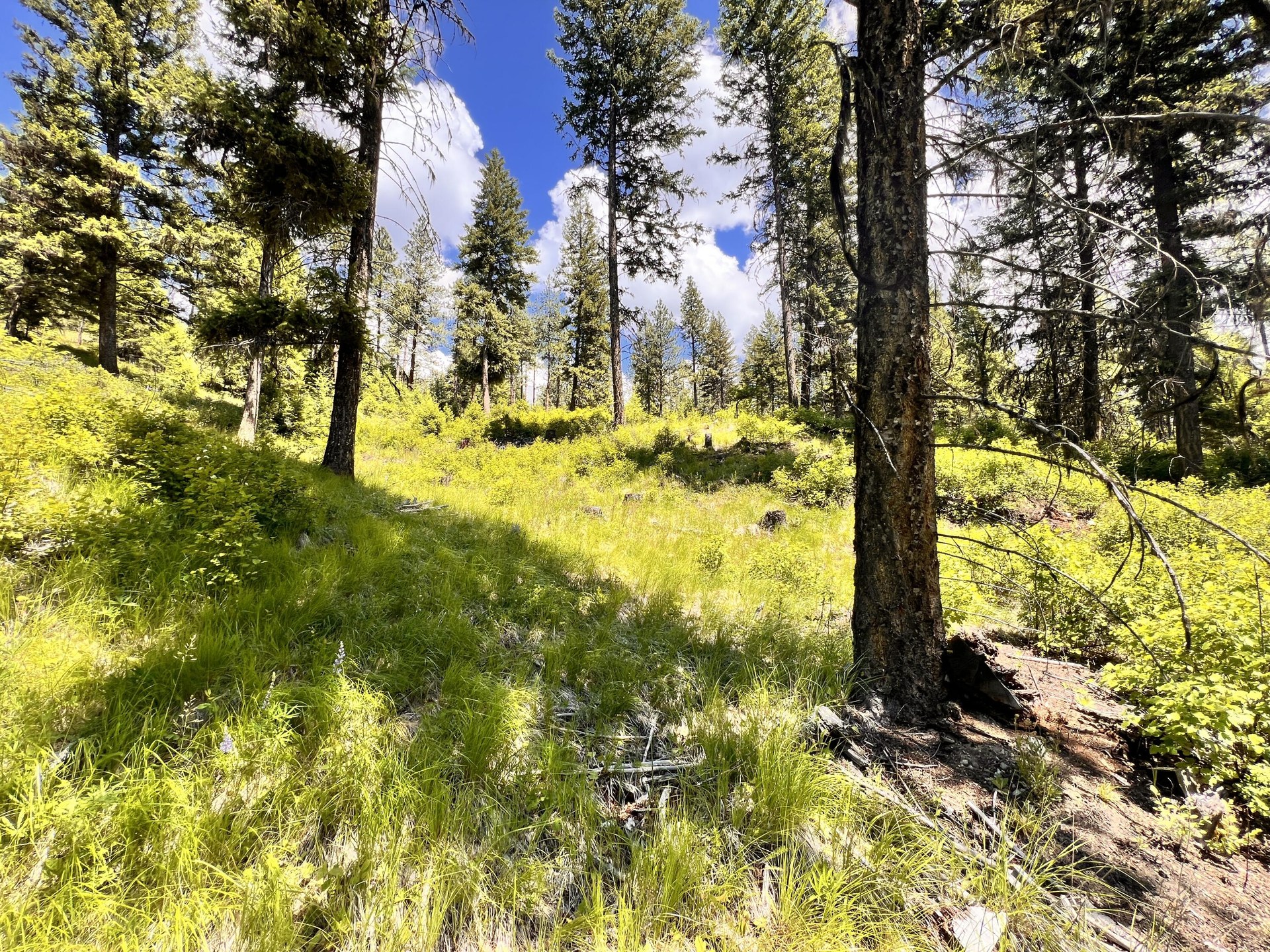 
                        Property photograph at
                        TBD OLD KETTLE FALLS RD
                      