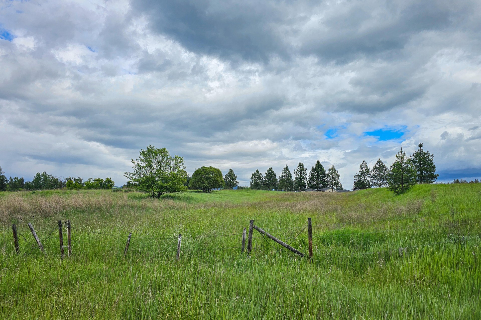 
                        Property photograph at
                        TBD ELM ST S
                      