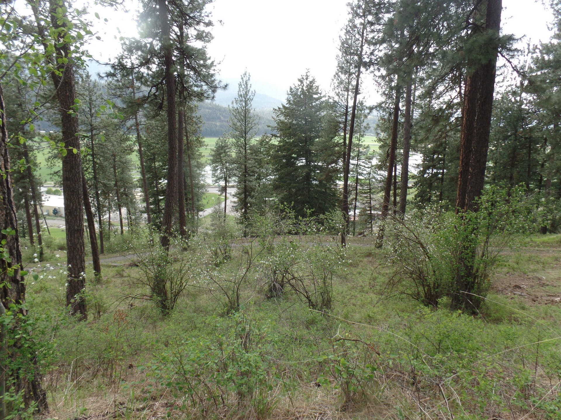 
                        Property photograph at
                        2XX HWY 395 N #A
                      