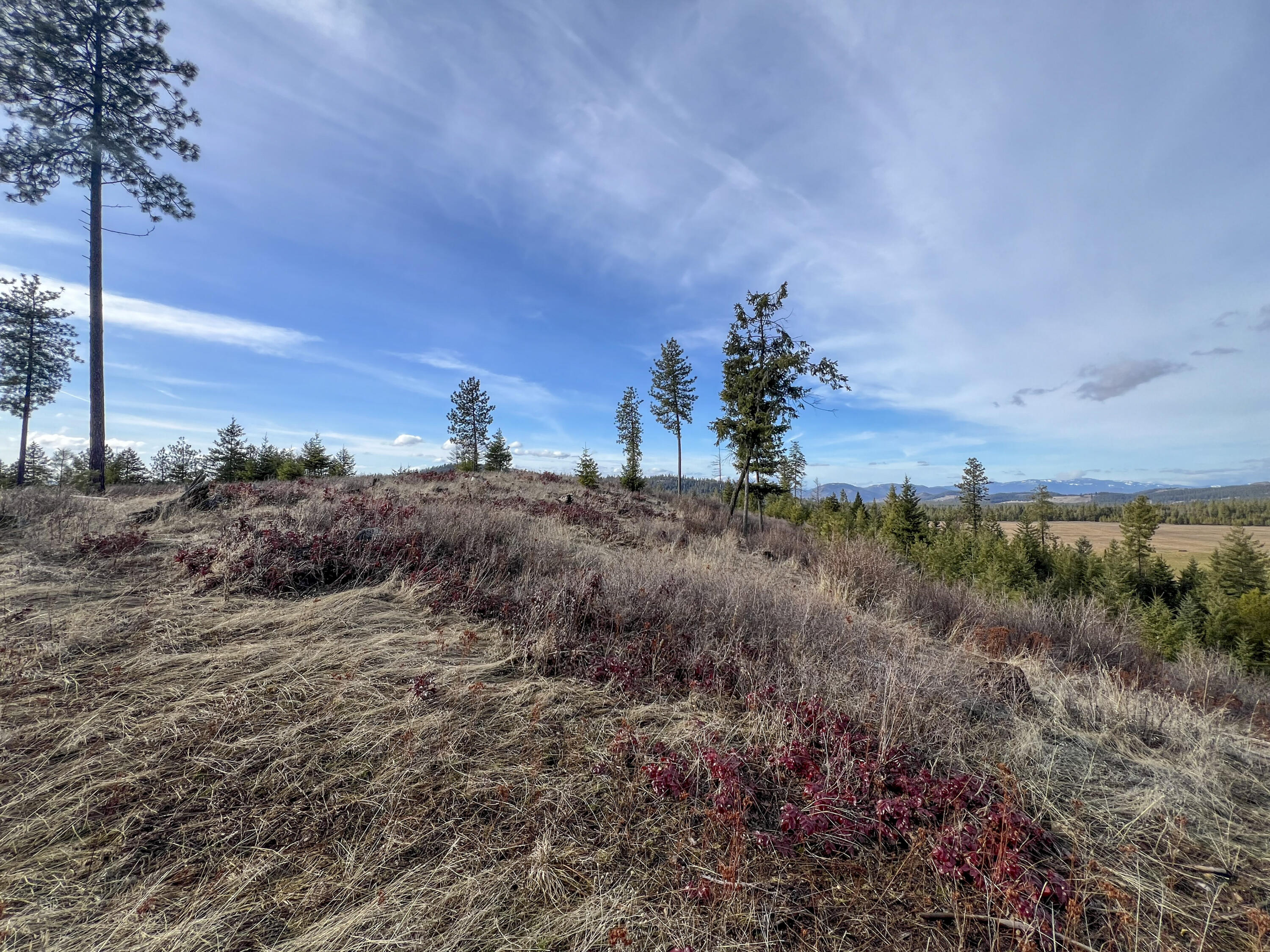 
                        Property photograph at
                        35XX HARMS WAY
                      