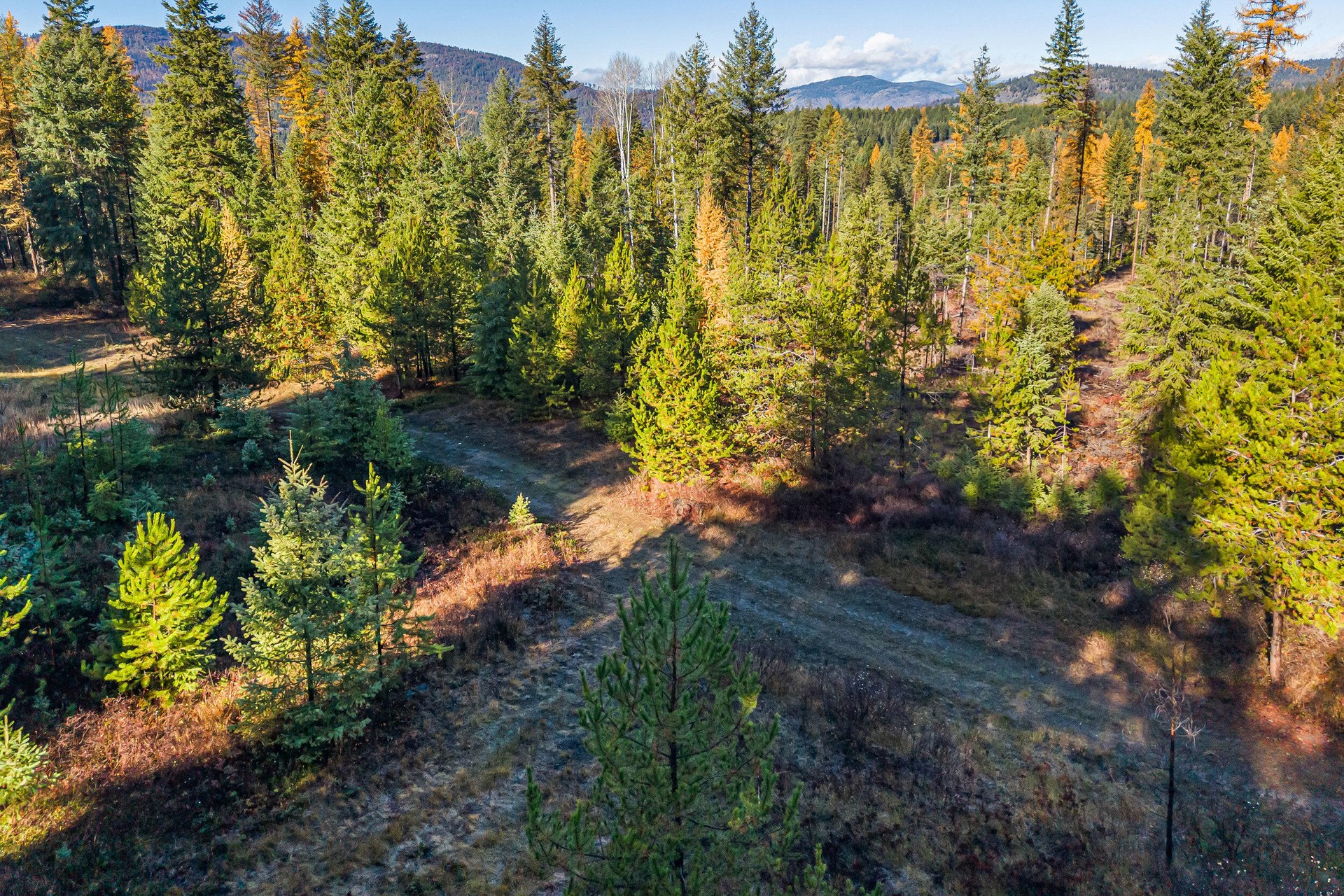 
                        Property photograph at
                        2094 CLUGSTON ONION CREEK RD
                      