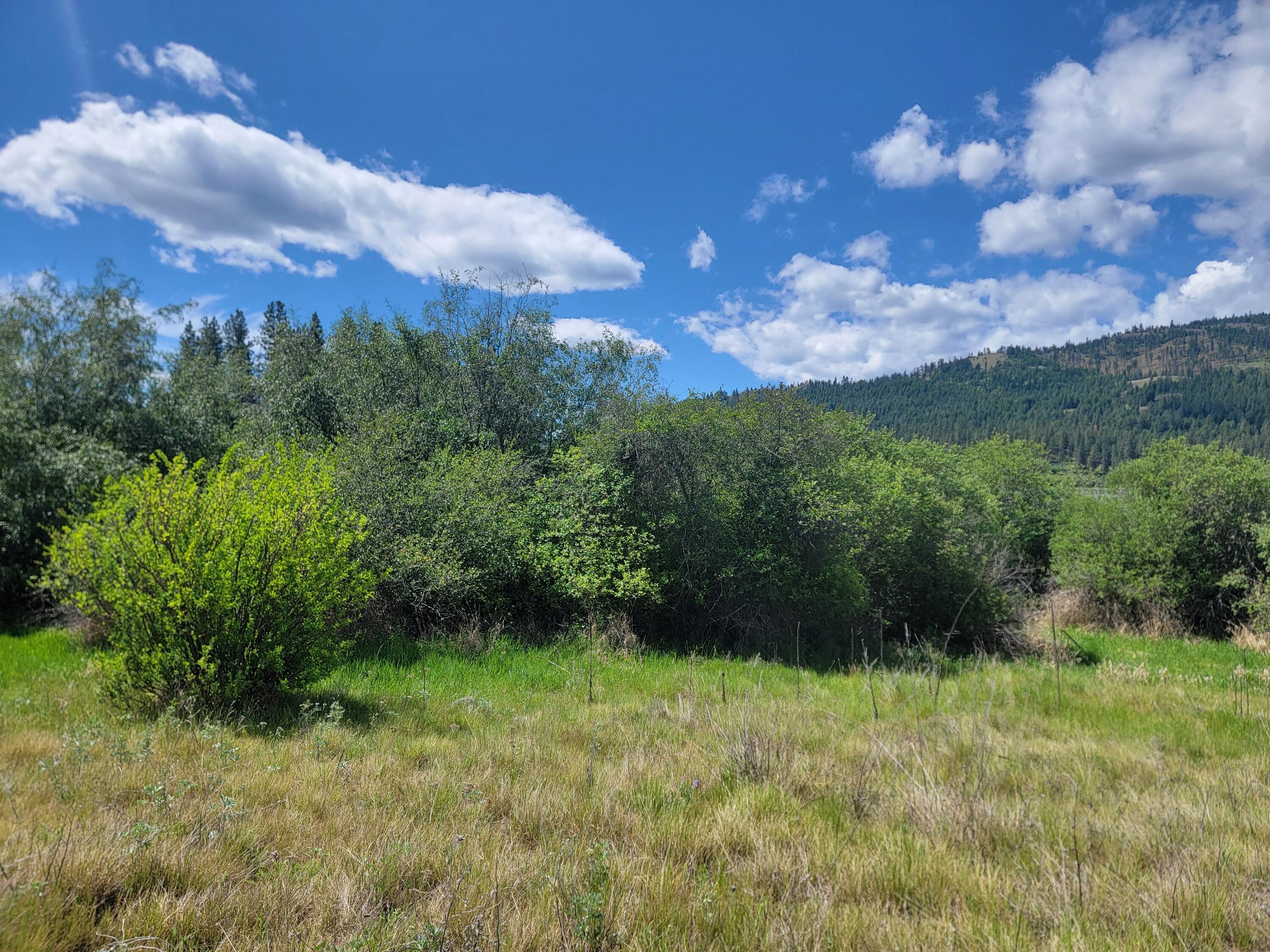 
                        Property photograph at
                        TBD CURLEW DR
                      
