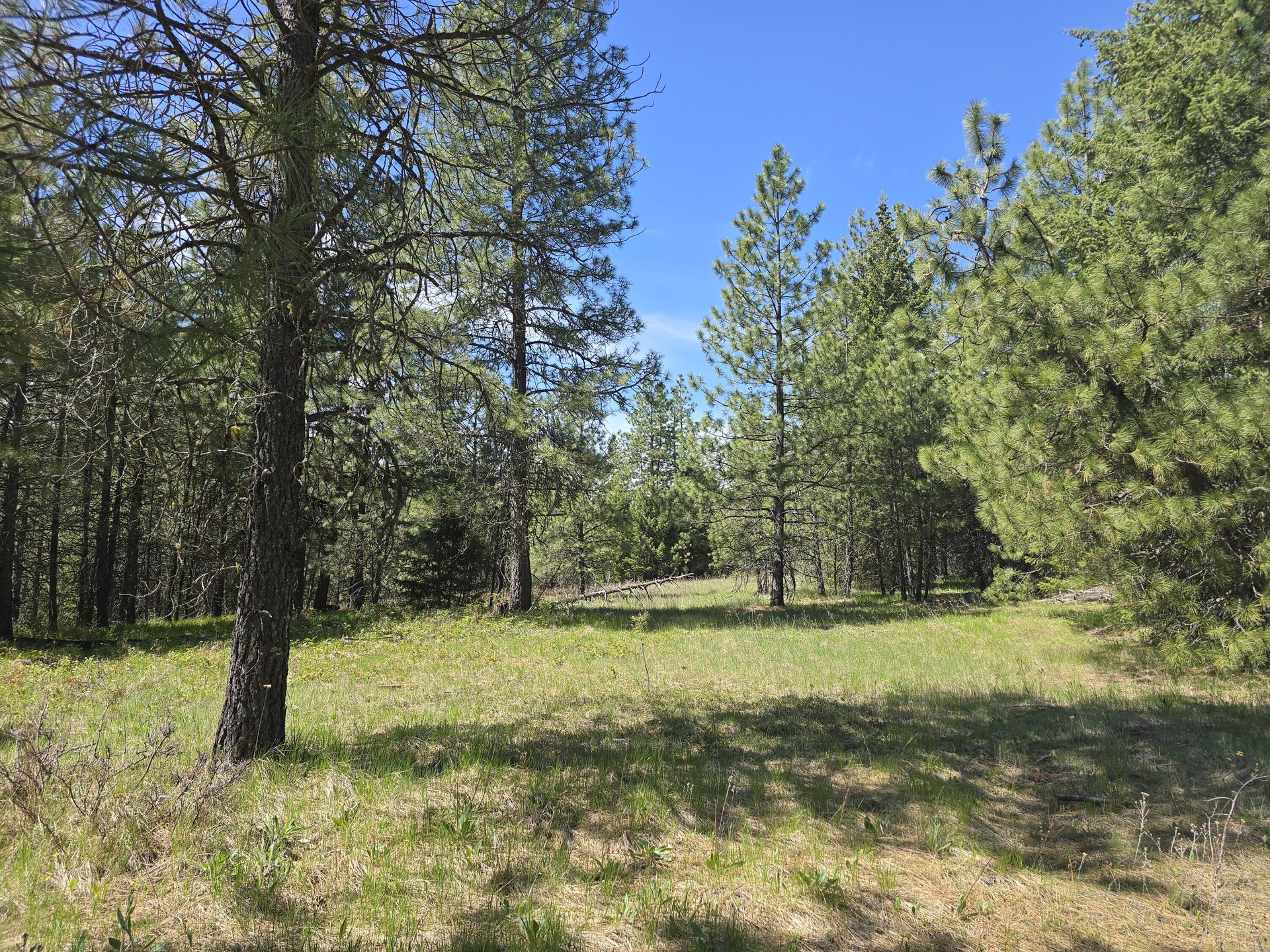 
                        Property photograph at
                        XXX W OREGON RD
                      