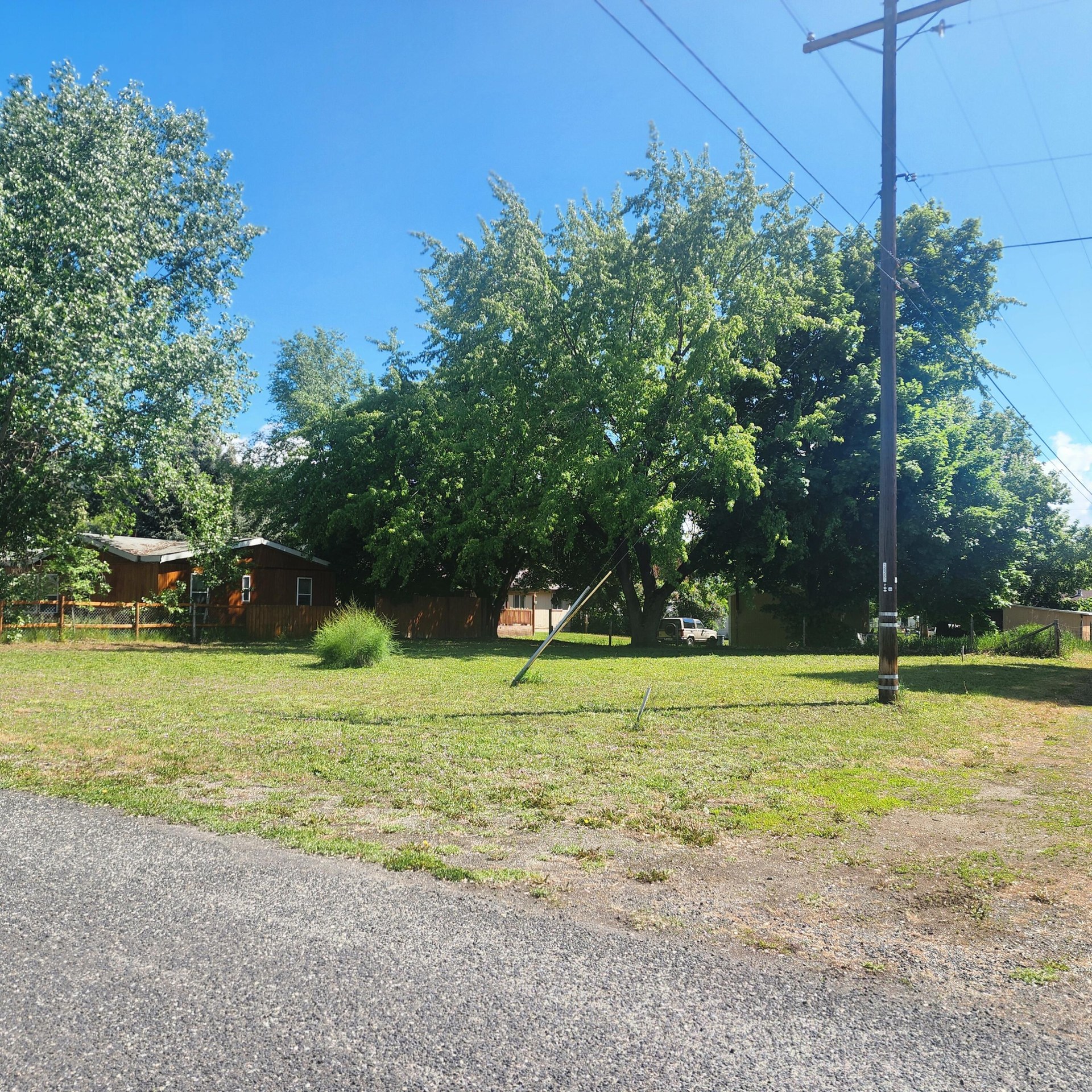 
                        Property photograph at
                        XXX KALMIA ST
                      