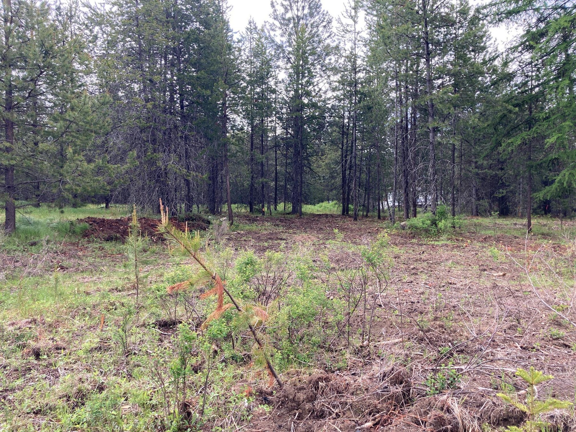 
                        Property photograph at
                        1496 E HWY 20 XX
                      