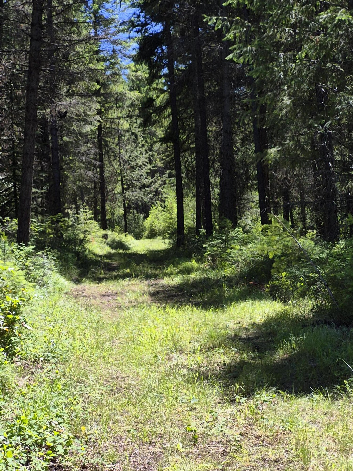 
                        Property photograph at
                        2094 CLUGSTON ONION CREEK RD
                      
